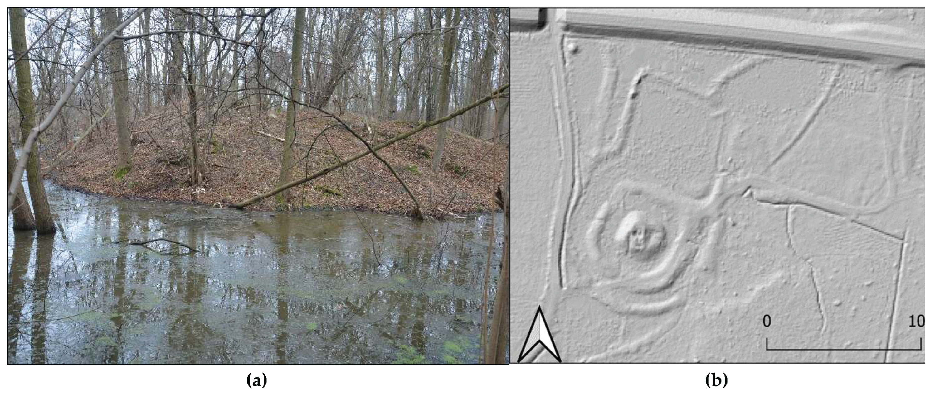 Preprints 159786 g010