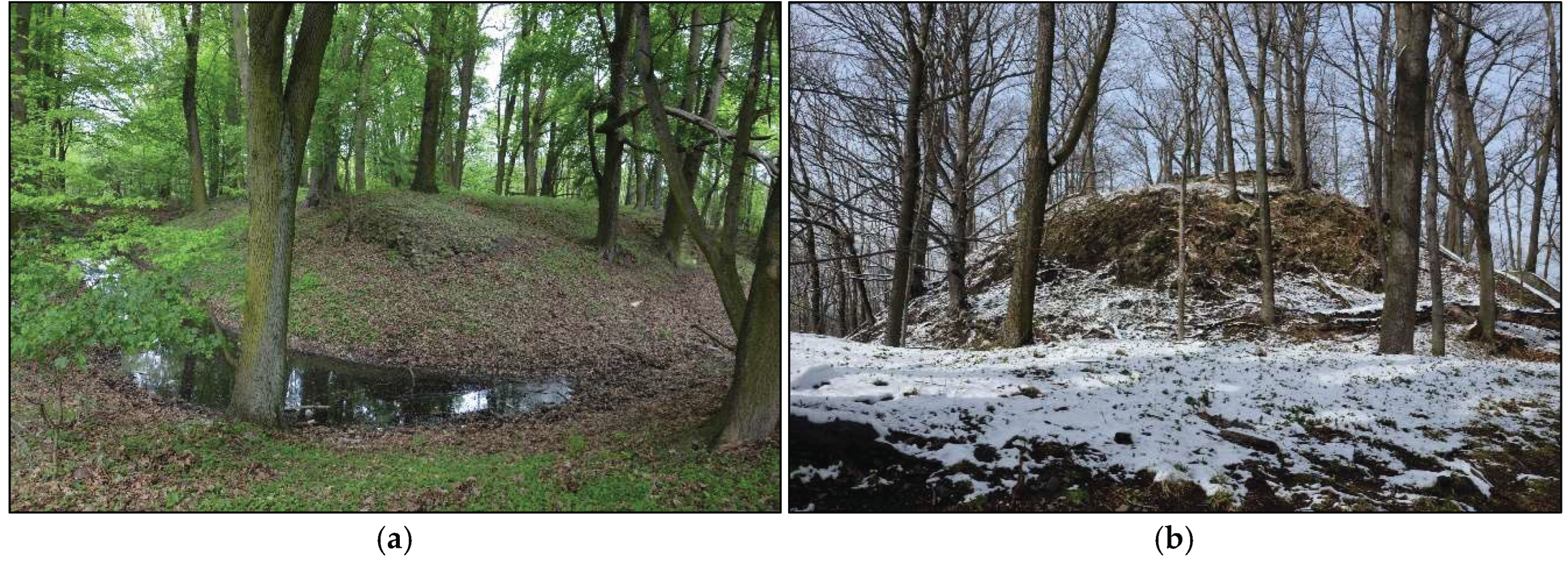 Preprints 159786 g011