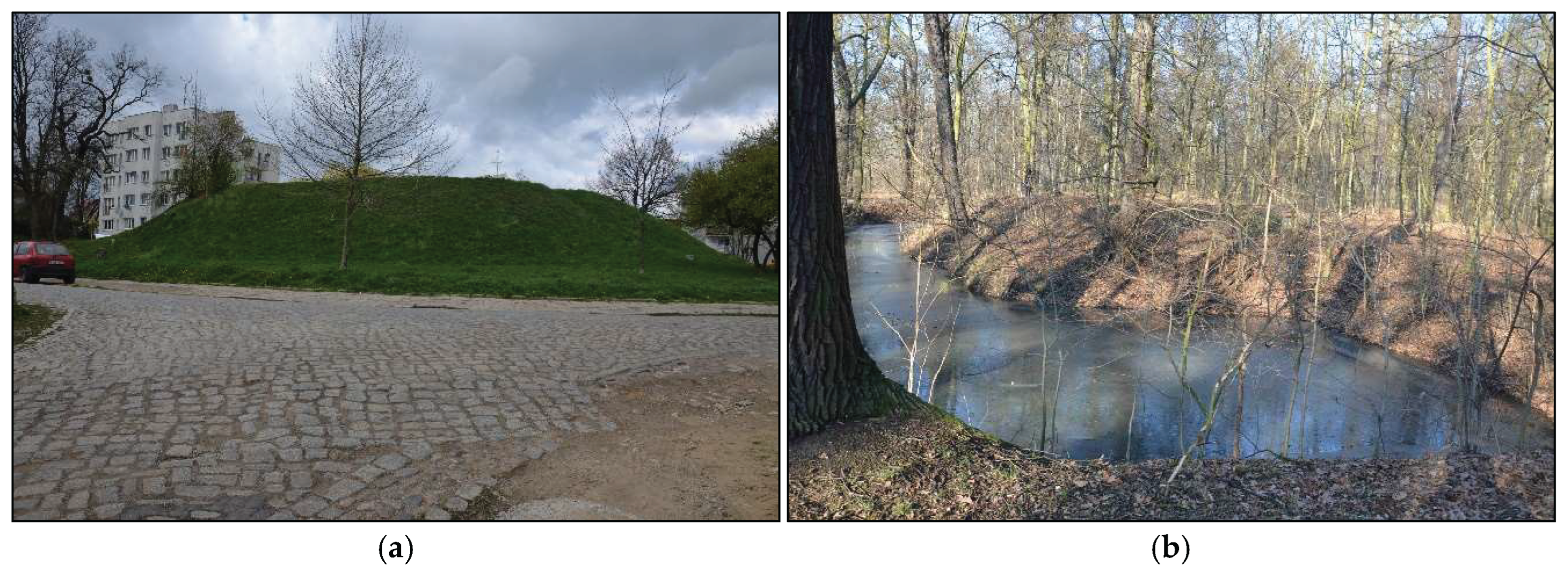 Preprints 159786 g012