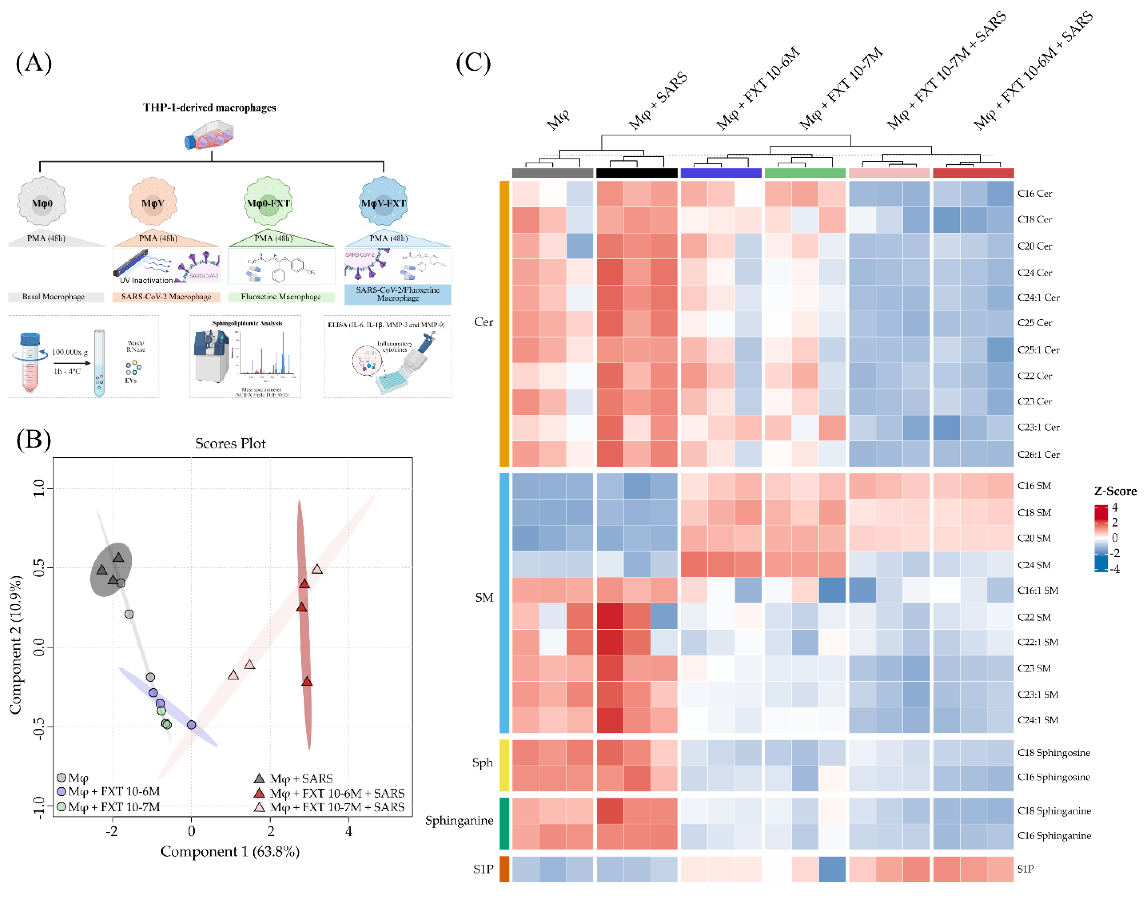 Preprints 186753 g001