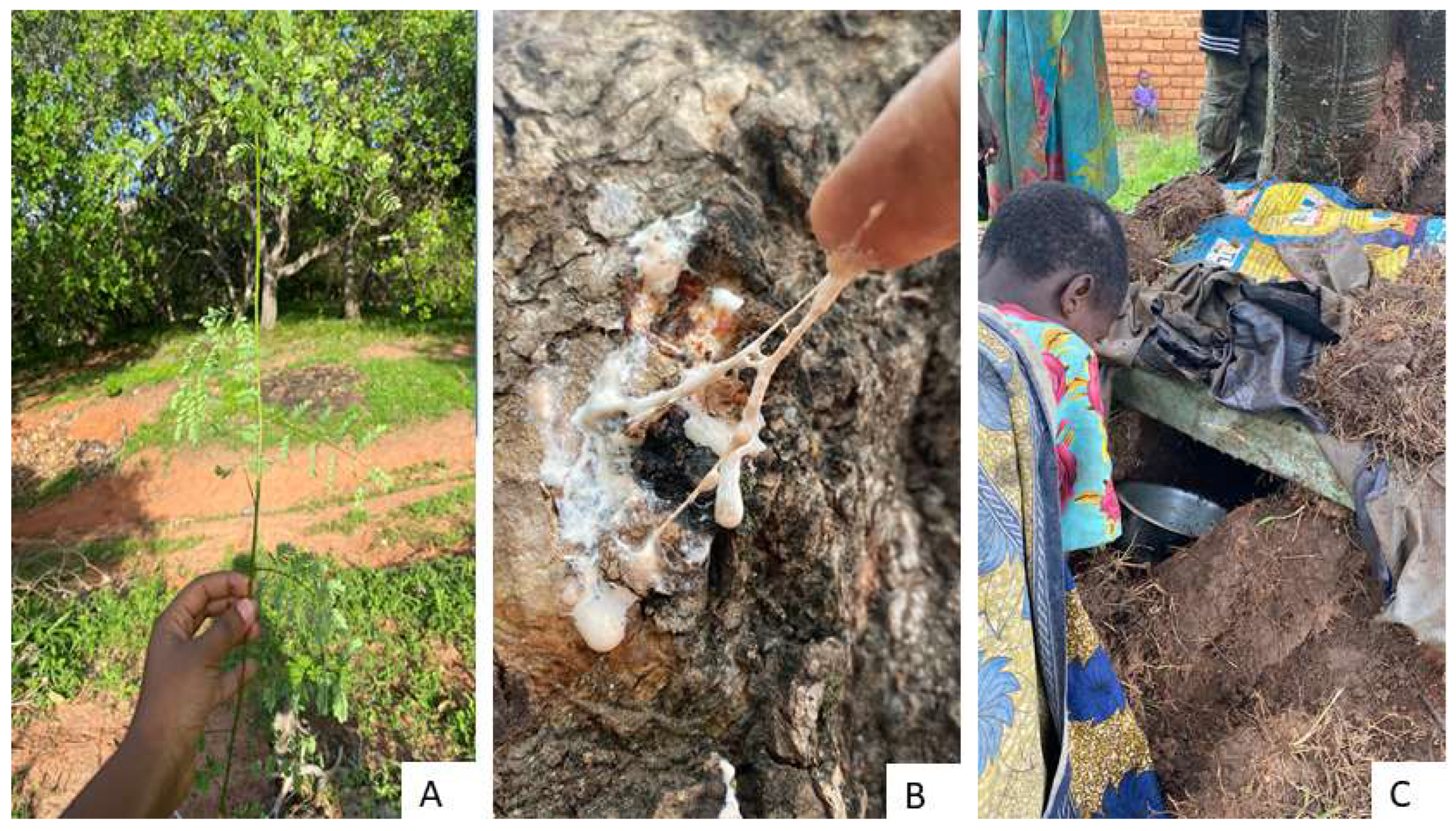 Preprints 200701 g001