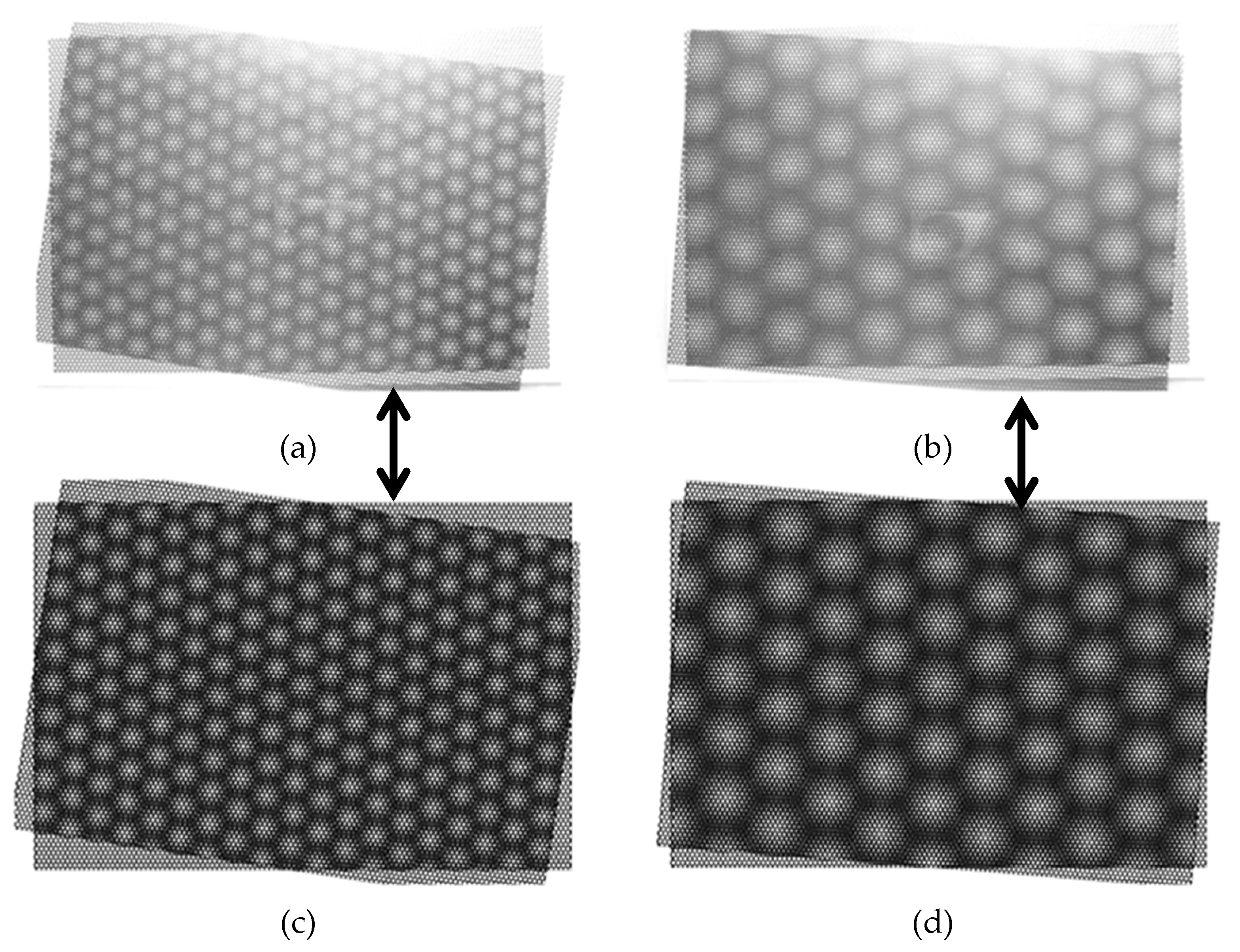 Preprints 188278 g008