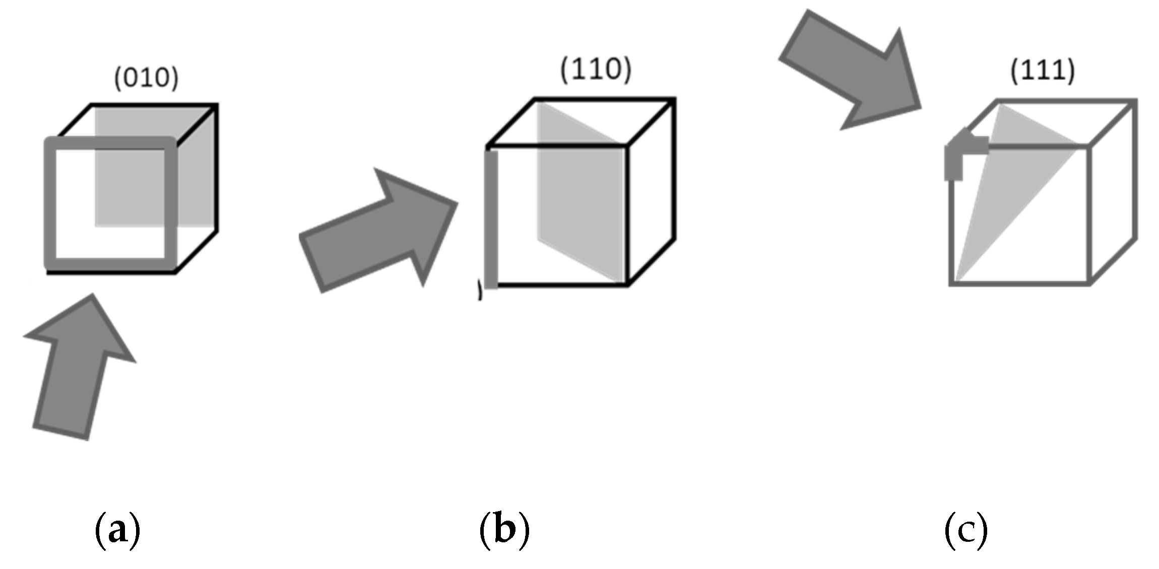Preprints 188278 g014