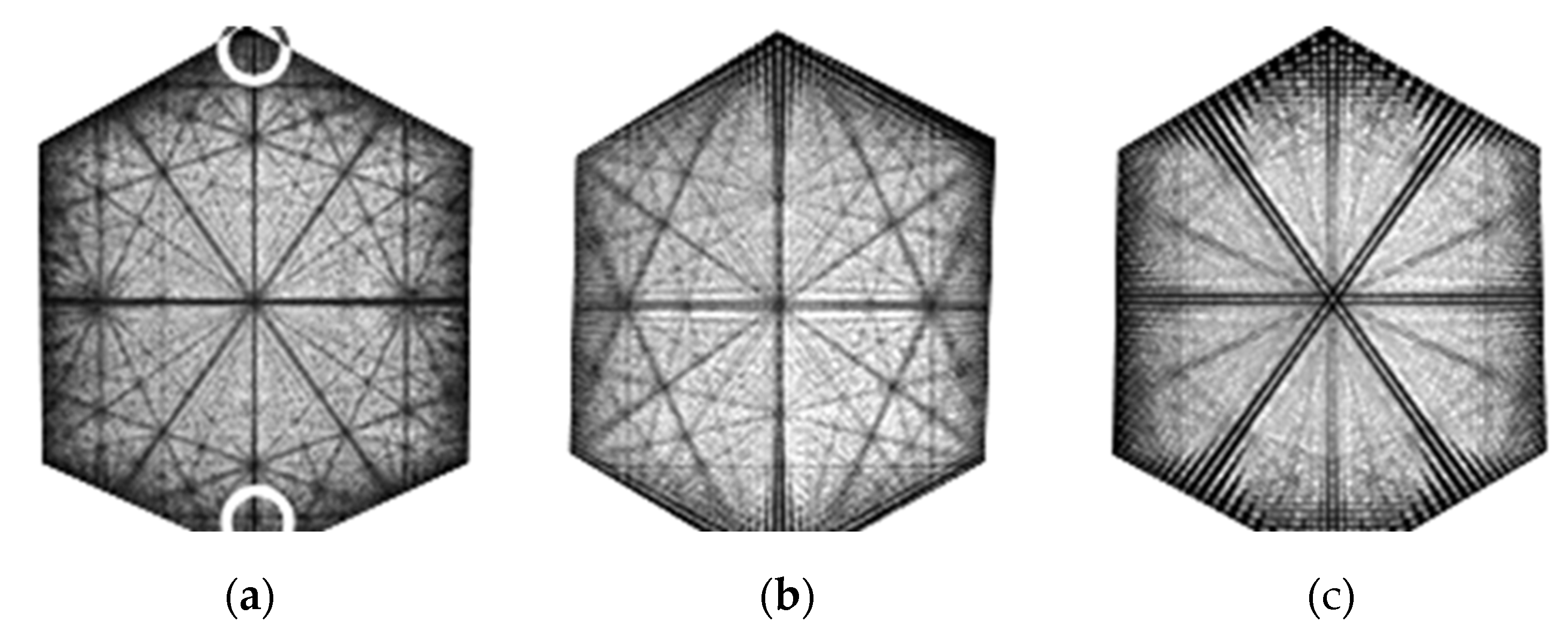 Preprints 188278 g022