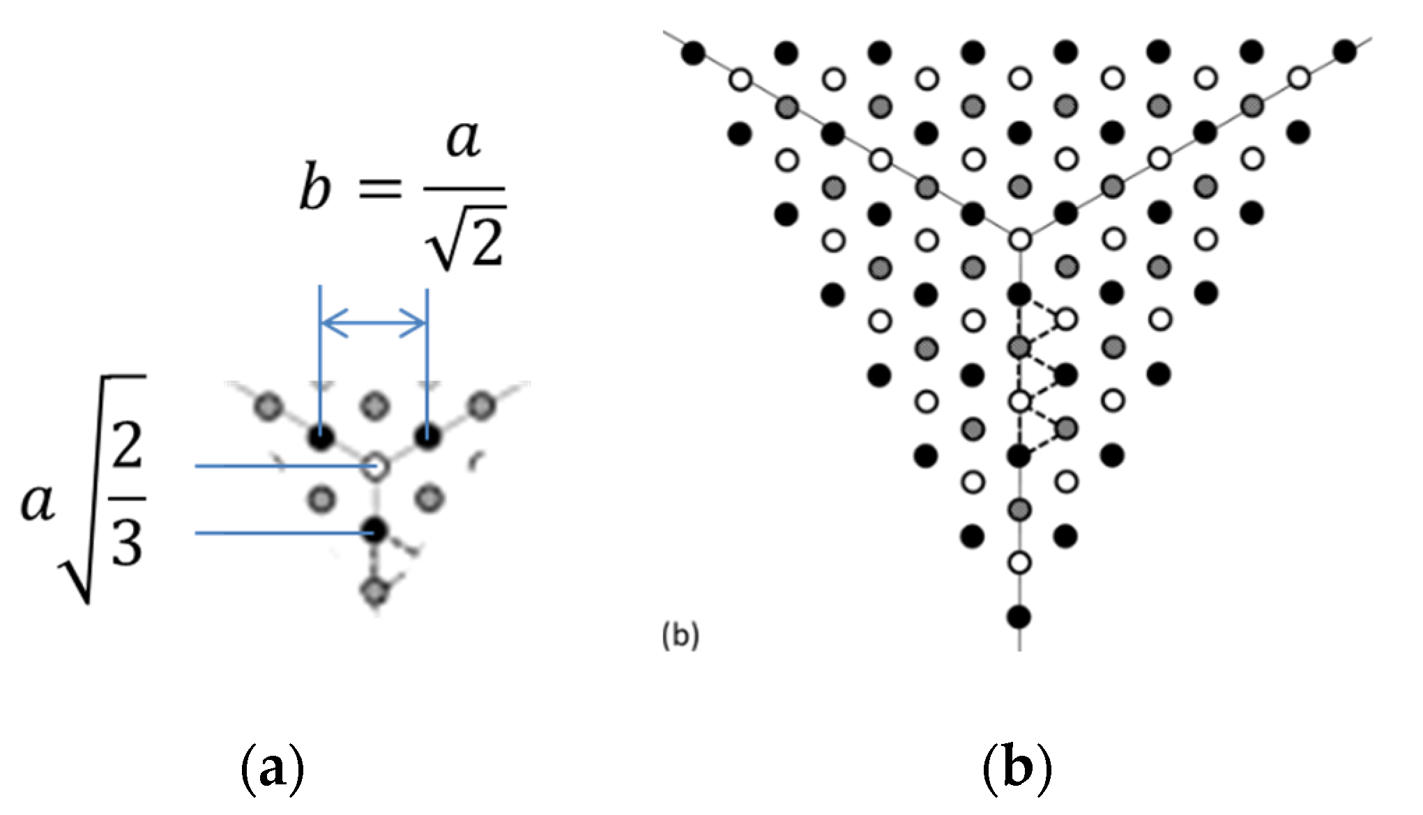 Preprints 188278 g025