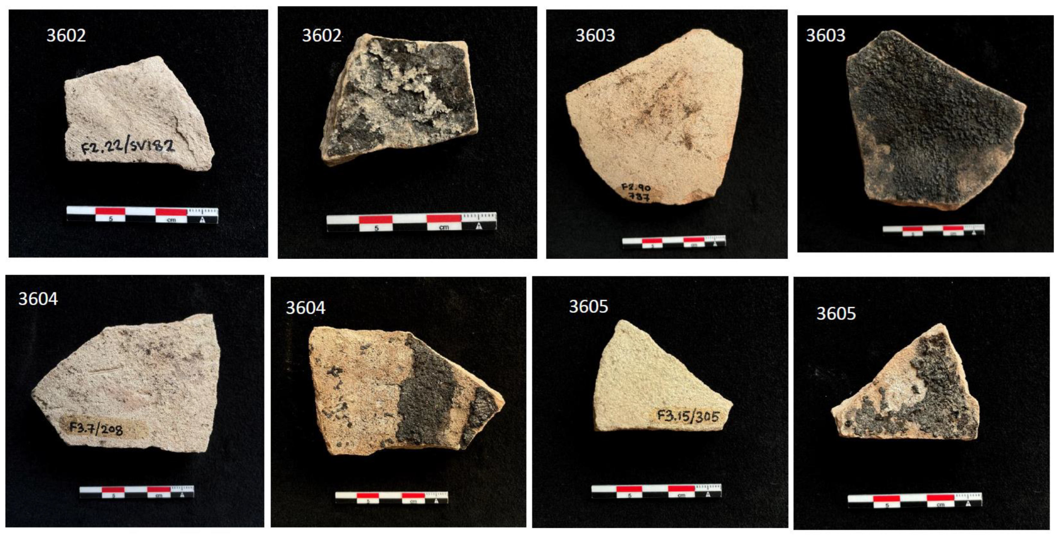 Preprints 137484 g001