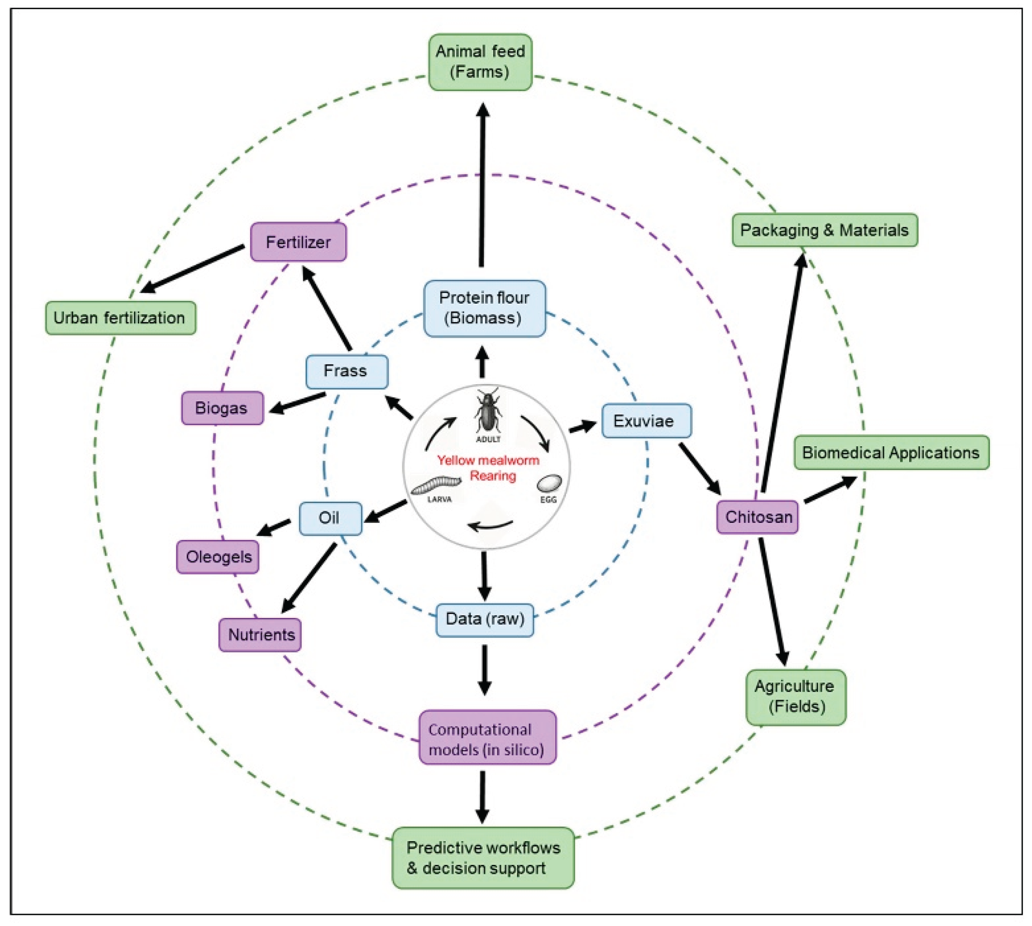 Preprints 208578 g001