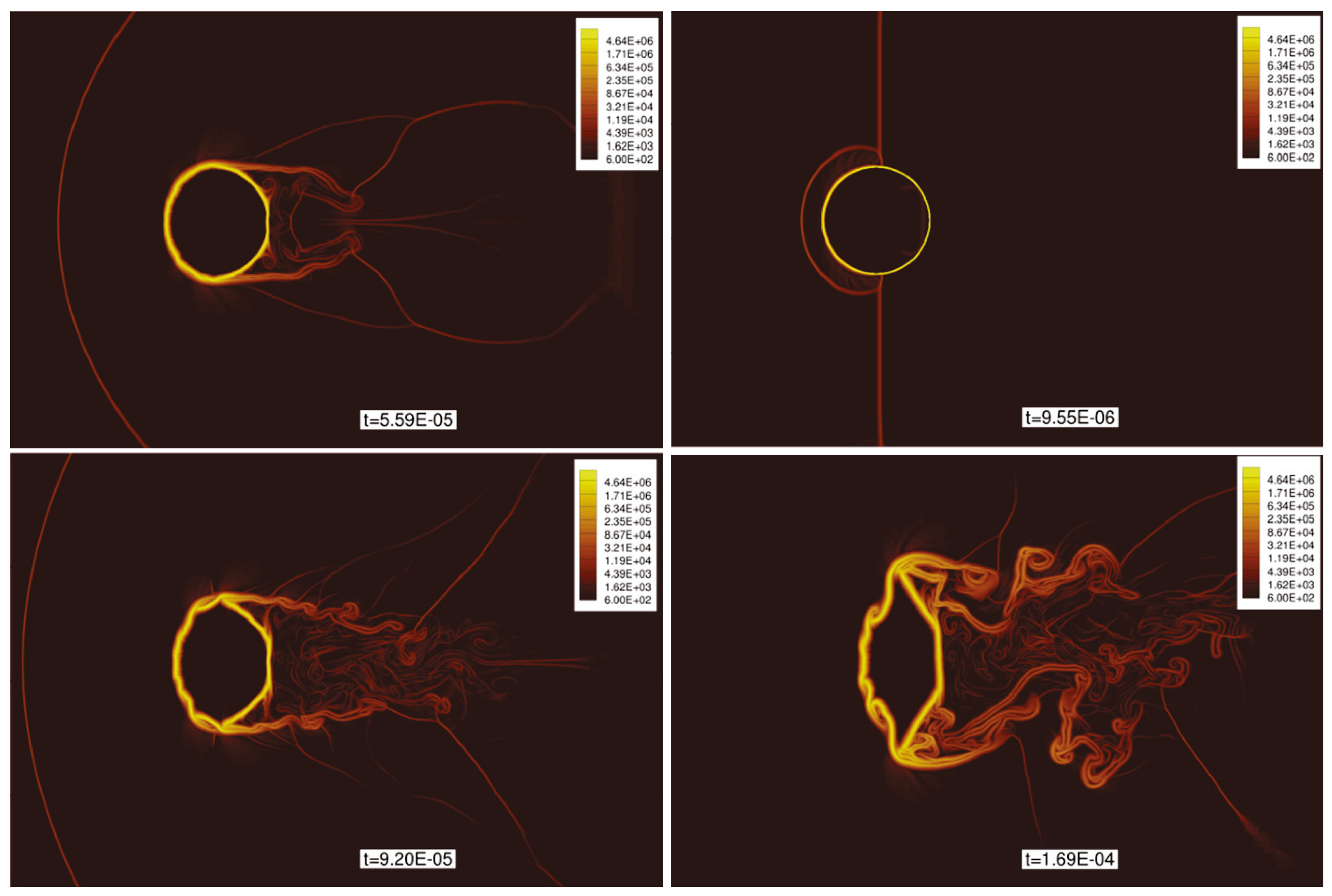 Preprints 147456 g006