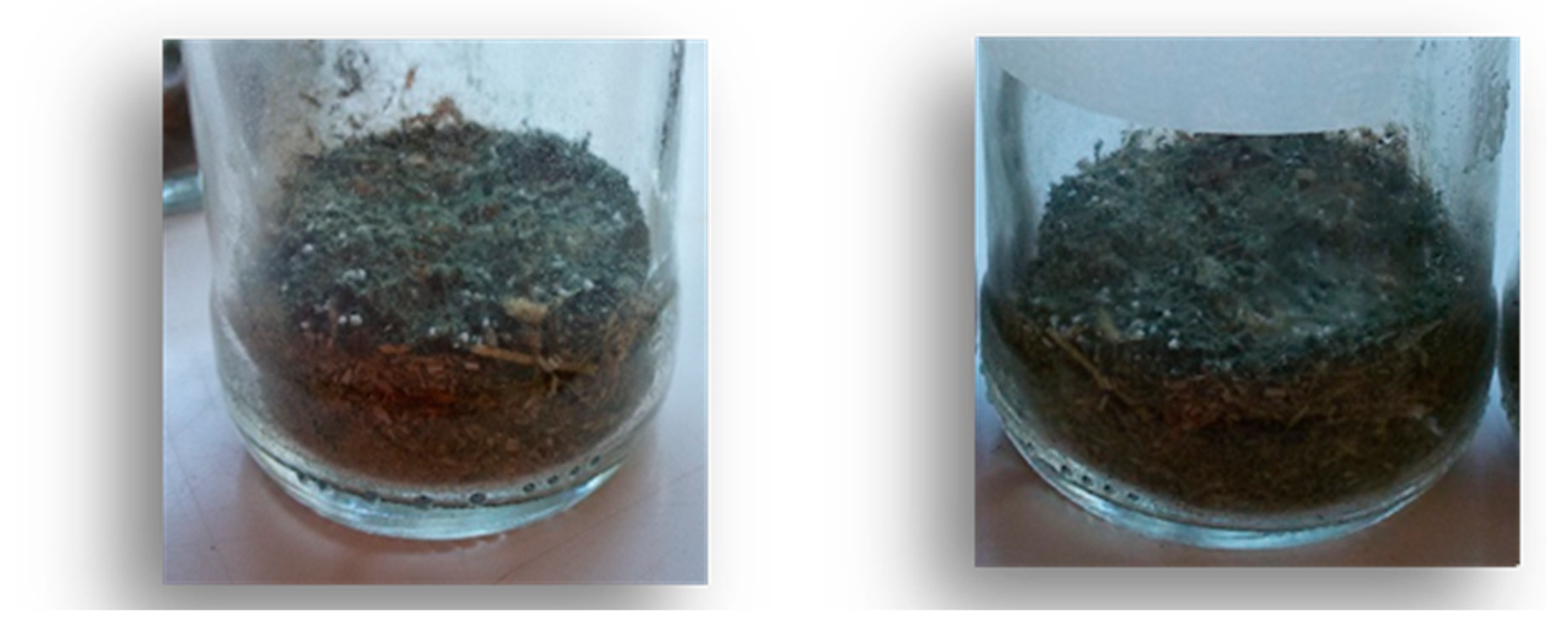 Preprints 157631 g001