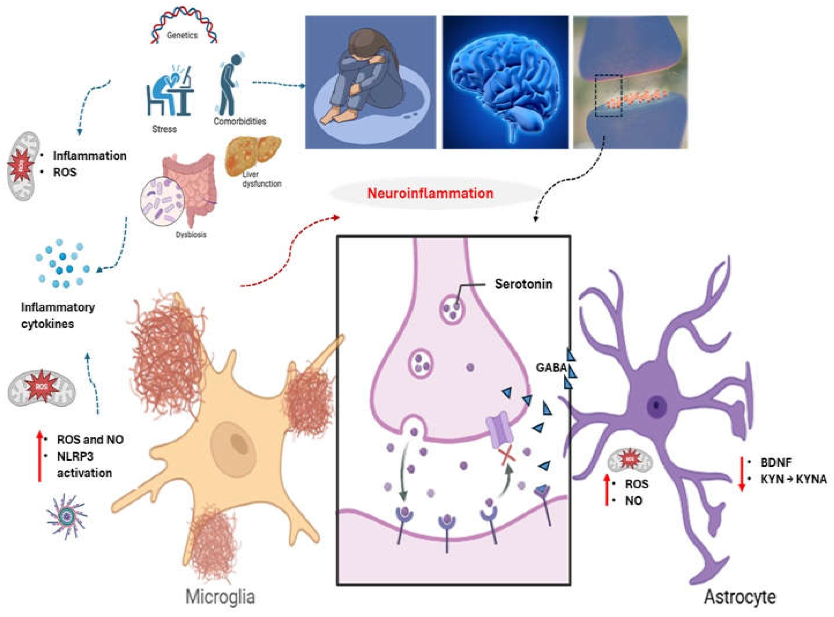 Preprints 154999 g001