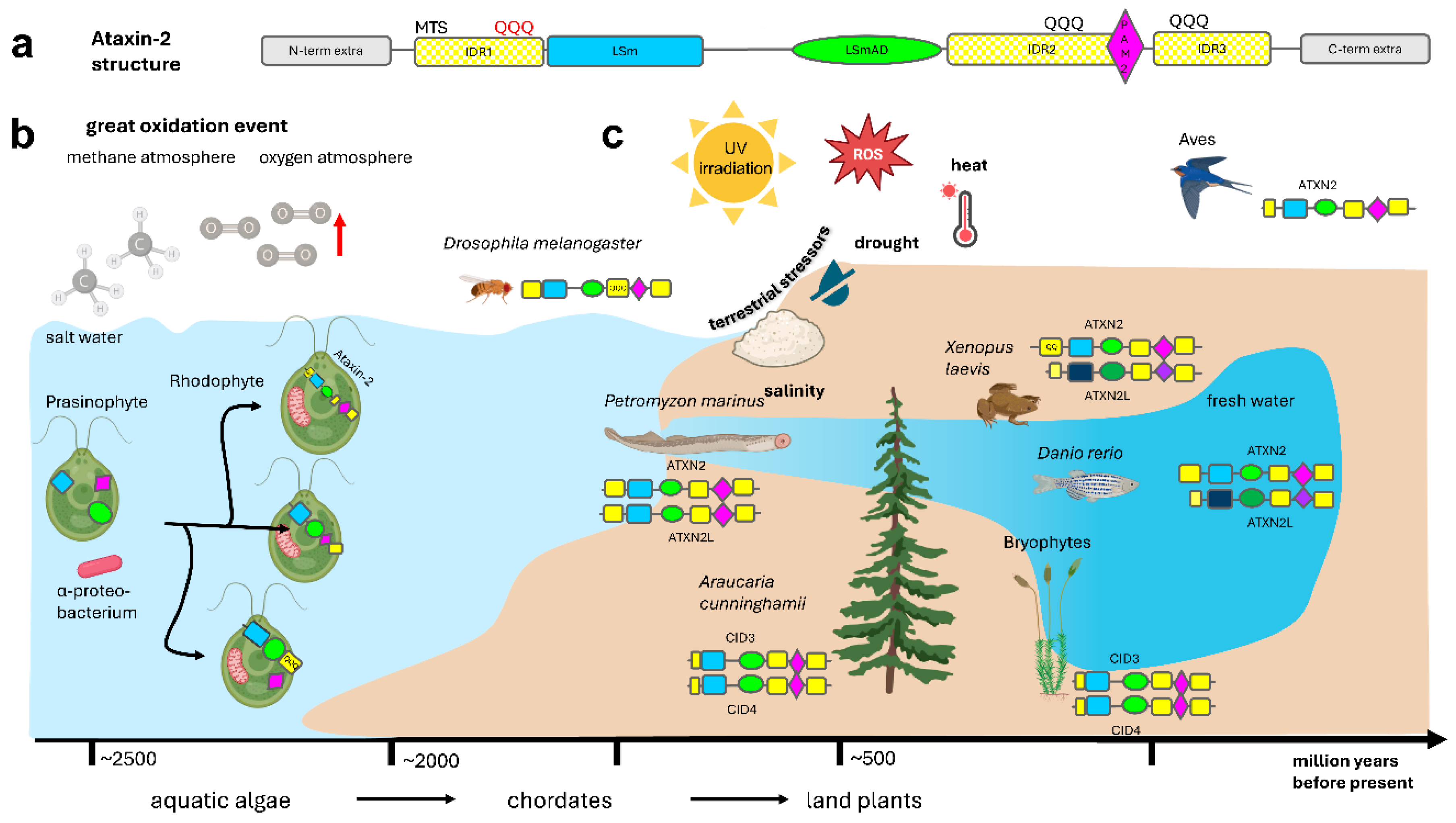 Preprints 193658 g001