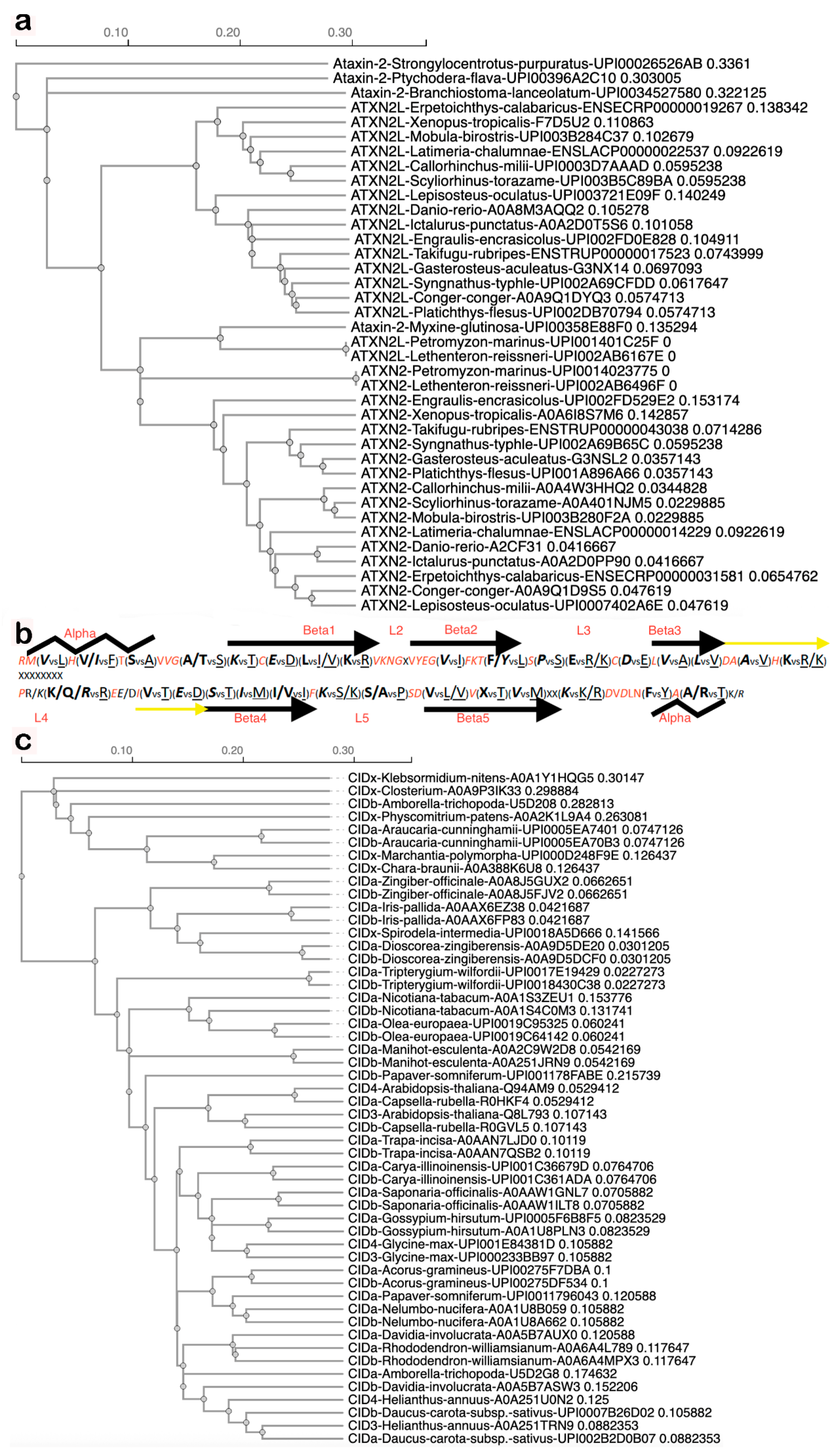 Preprints 193658 g002