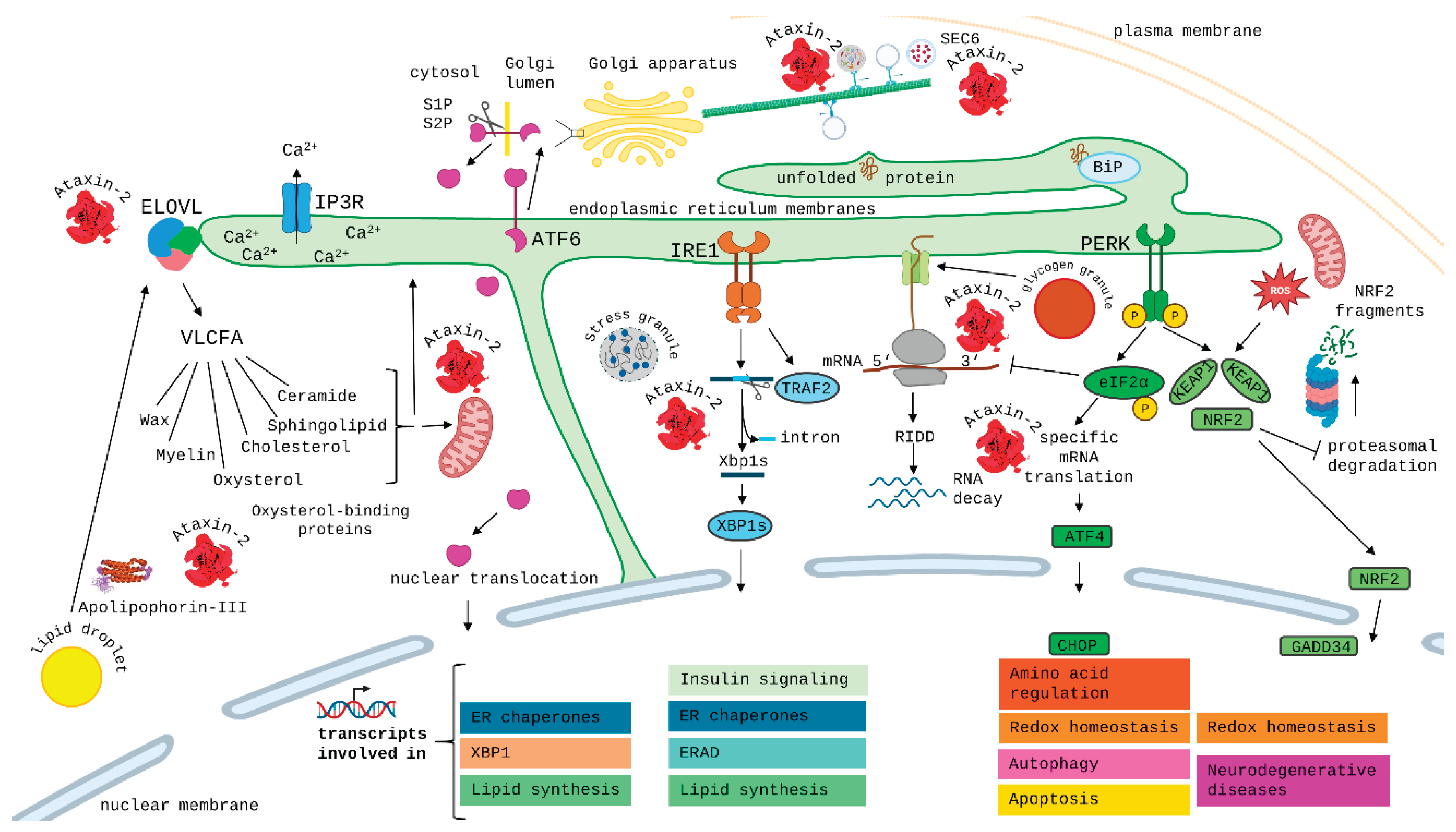 Preprints 193658 g006