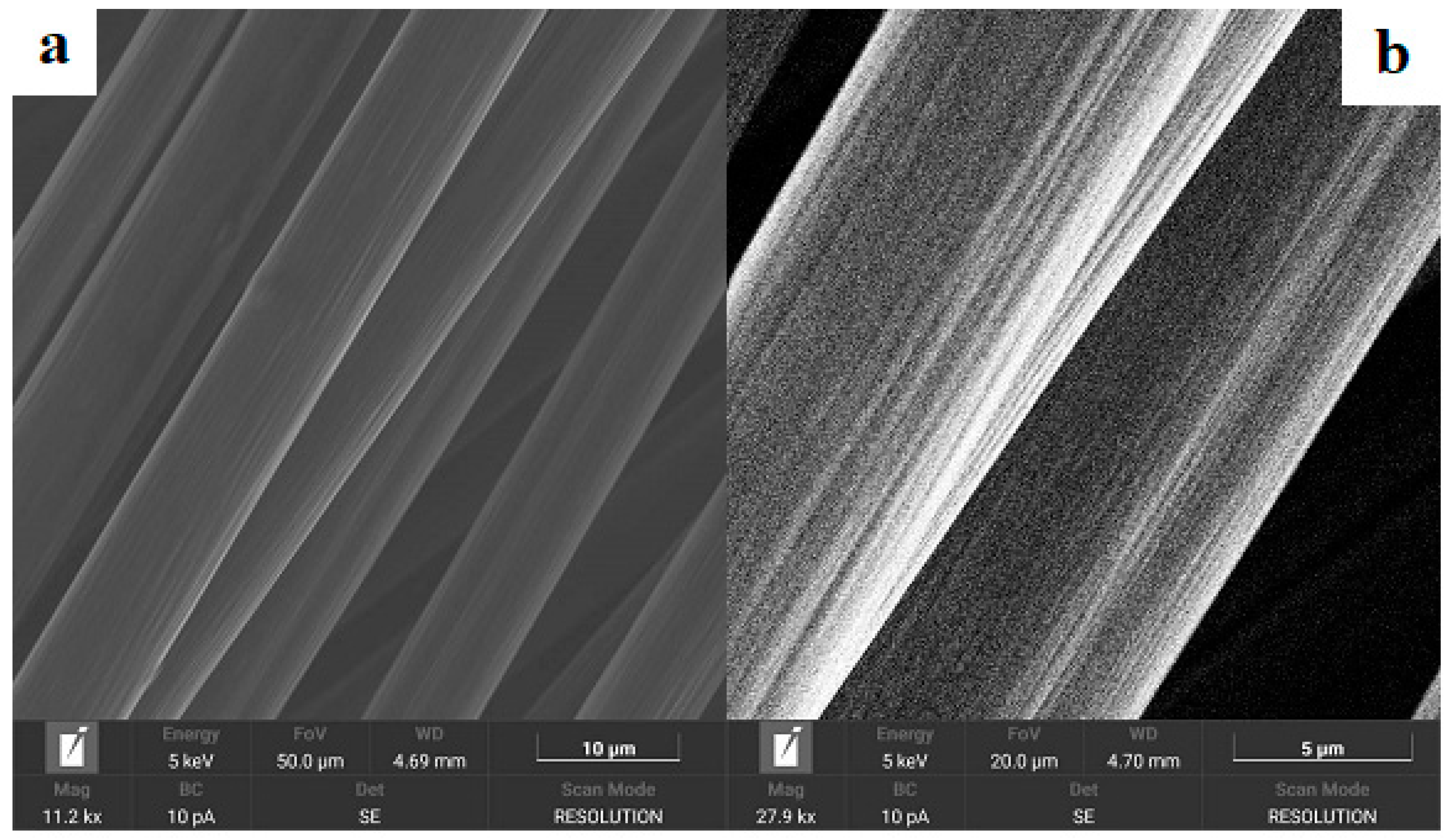Preprints 188891 g003