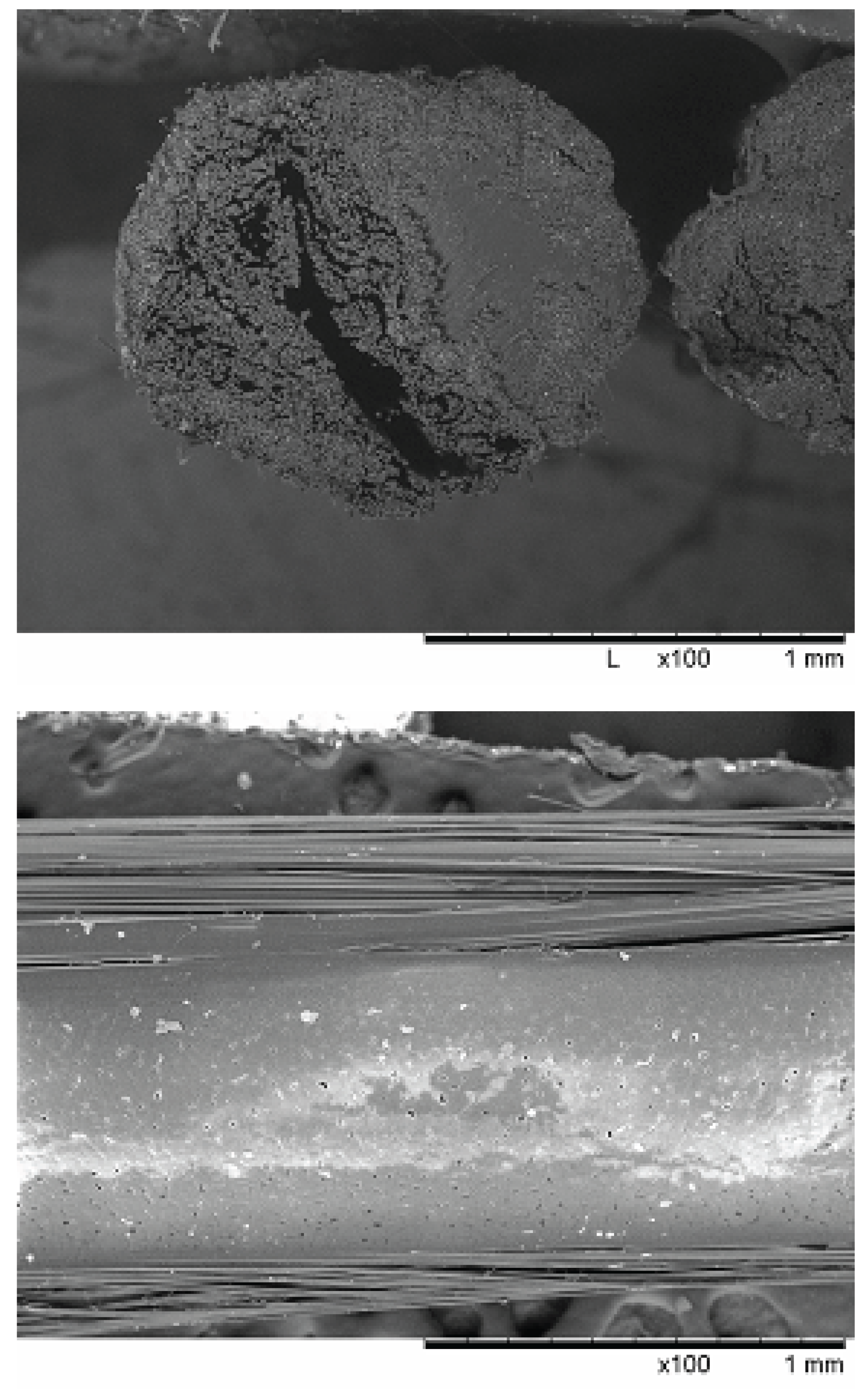 Preprints 188891 g005