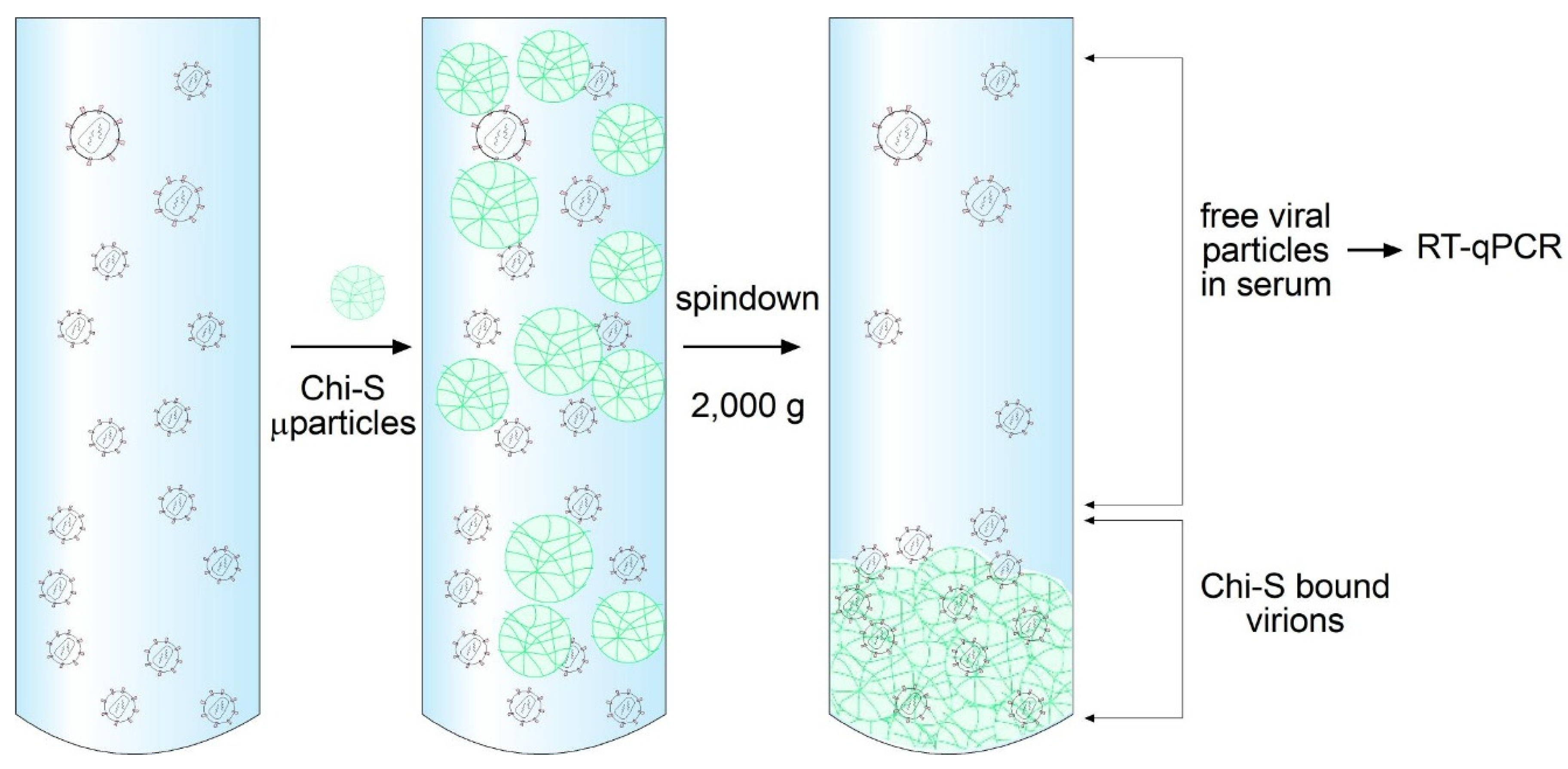 Preprints 187633 g003