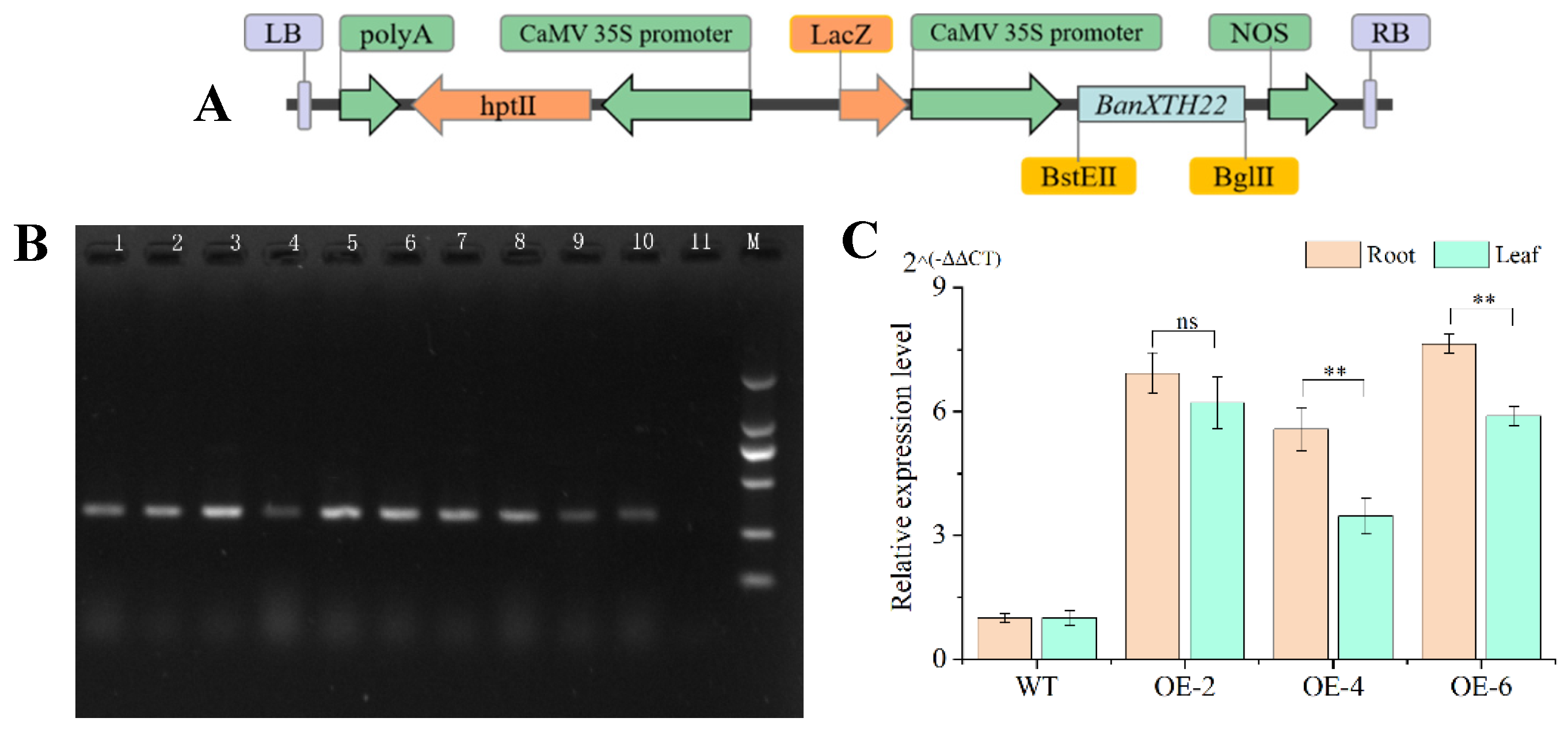 Preprints 158906 g002