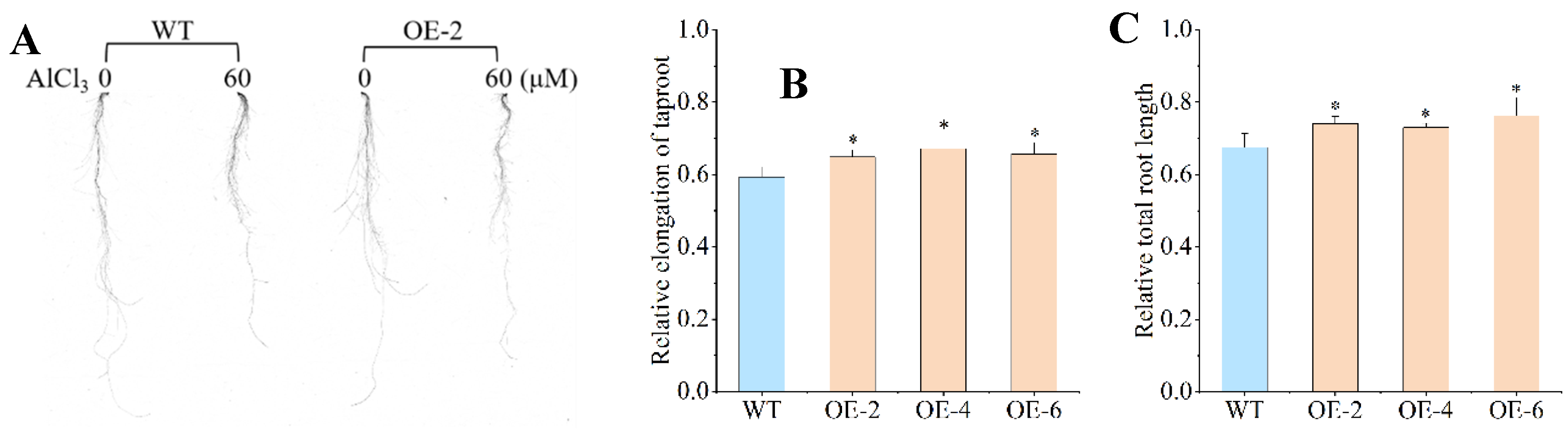 Preprints 158906 g003