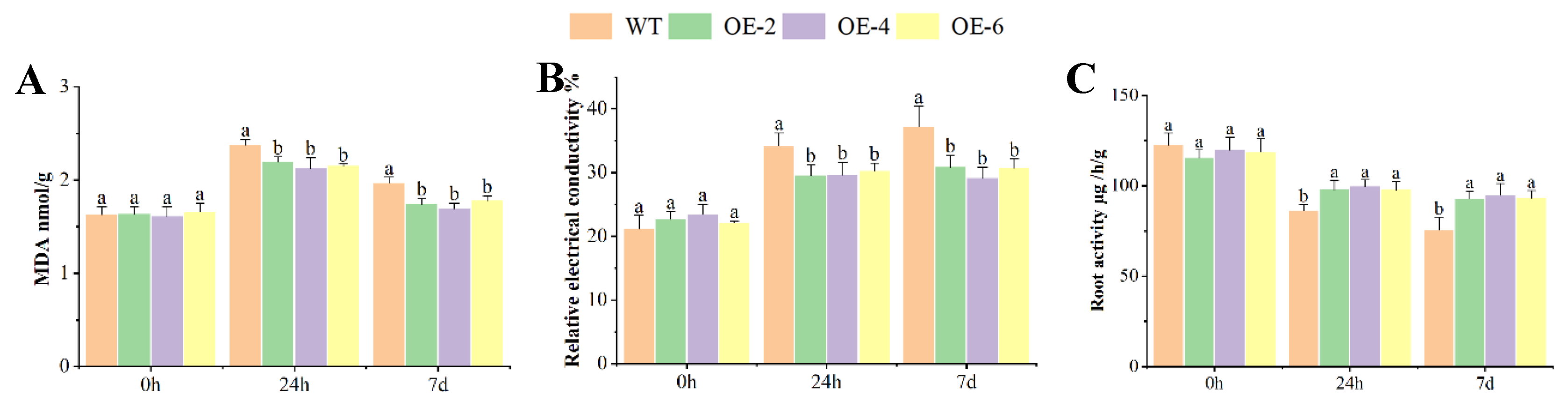 Preprints 158906 g004