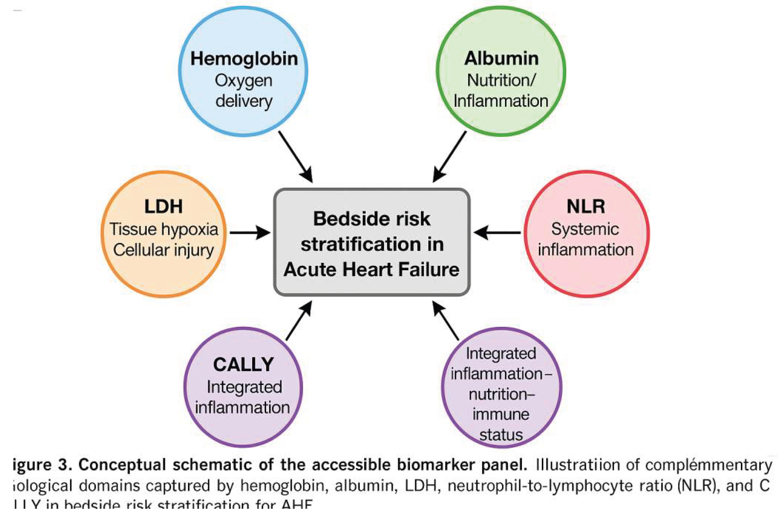 Preprints 197550 g003