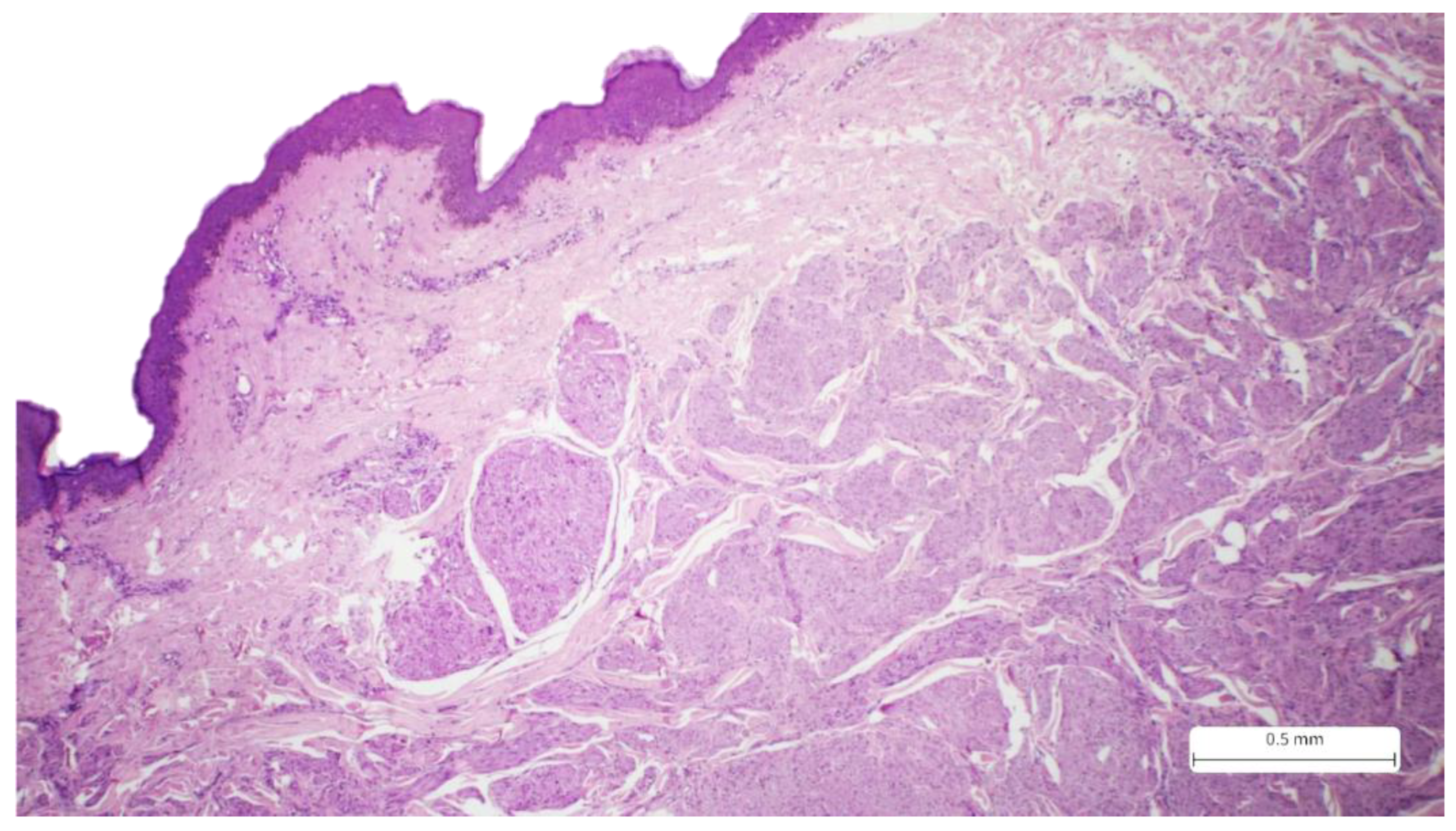 Preprints 176795 g001