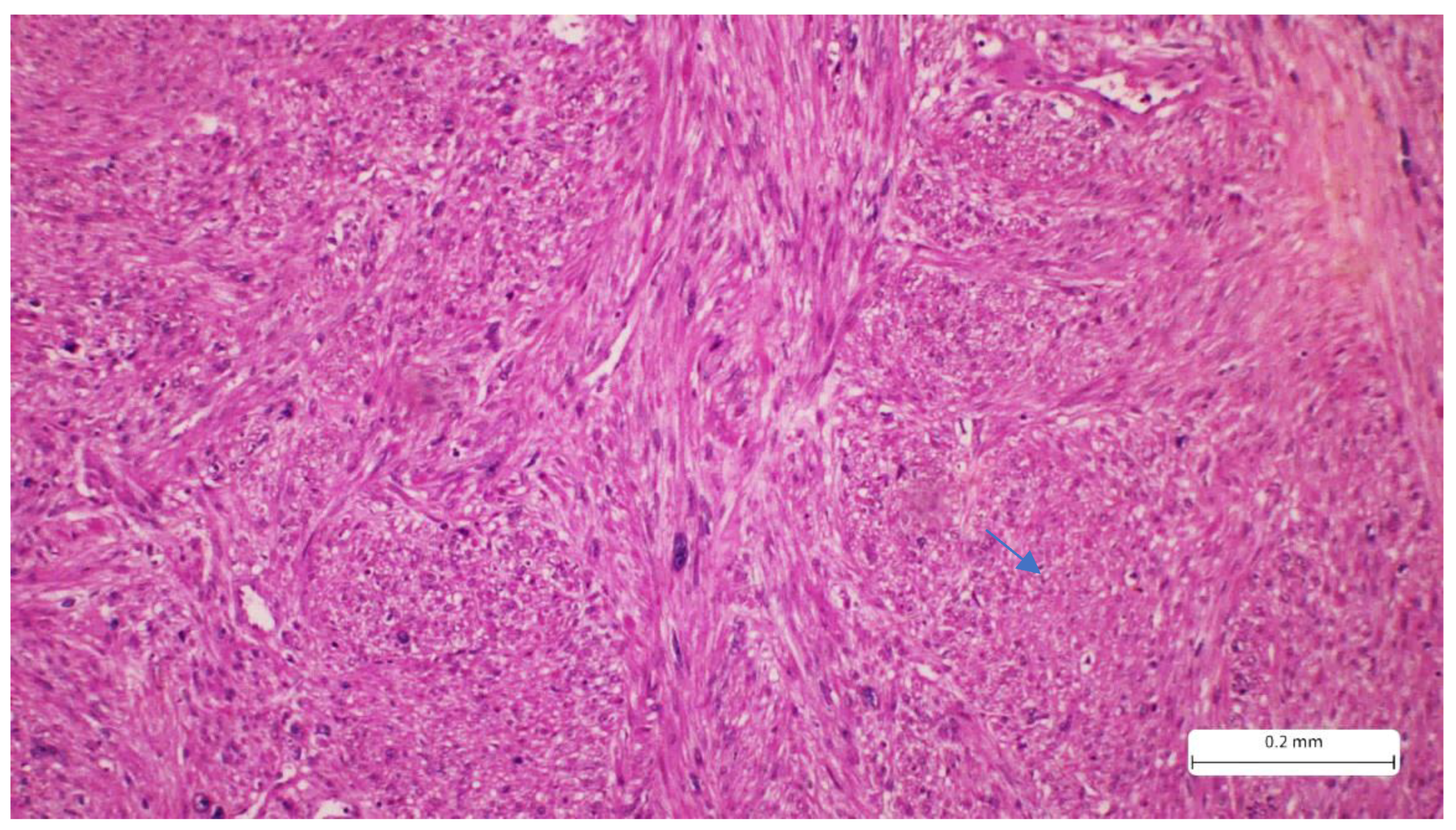 Preprints 176795 g002