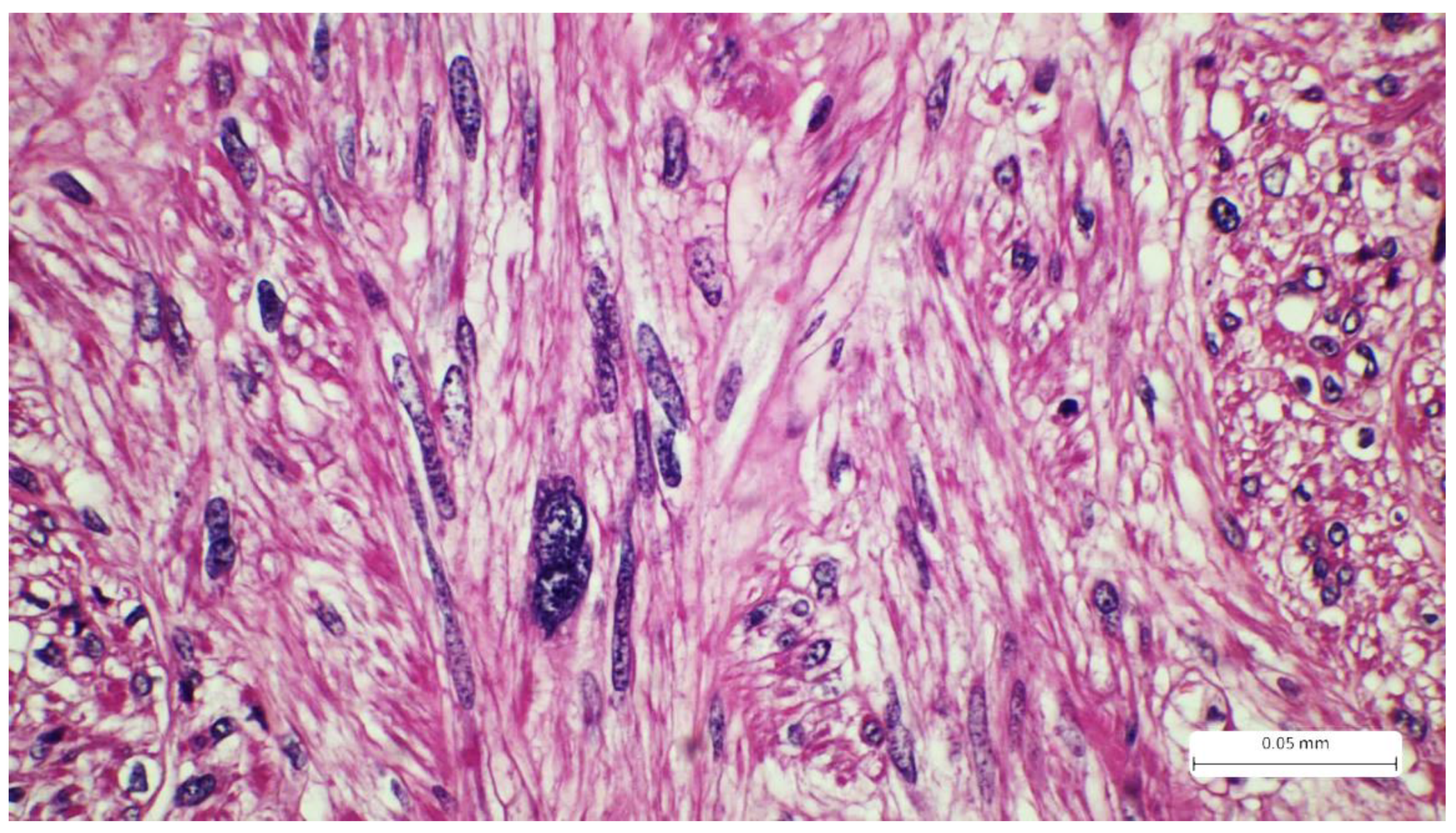 Preprints 176795 g003