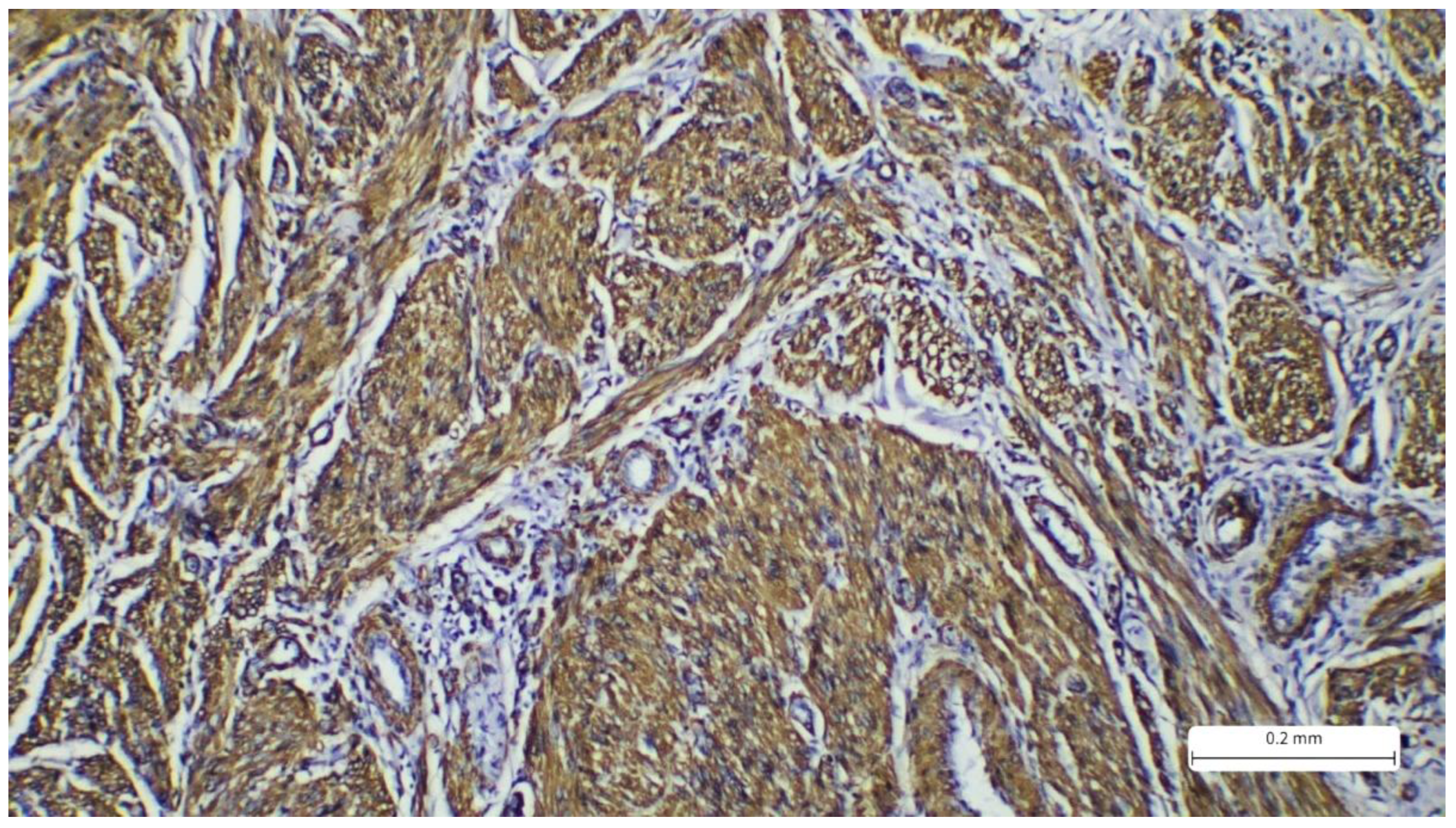 Preprints 176795 g004