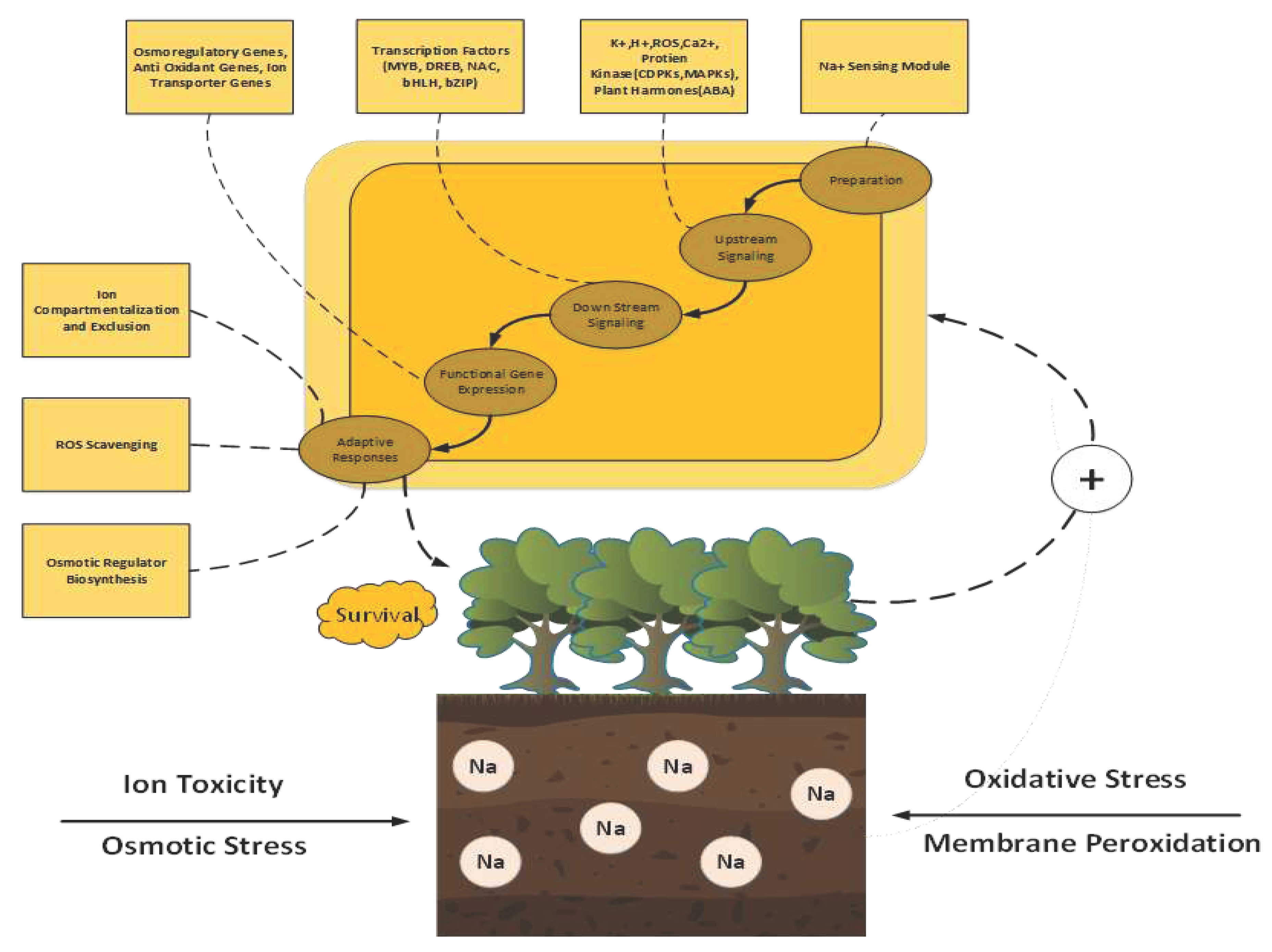 Preprints 79971 g001