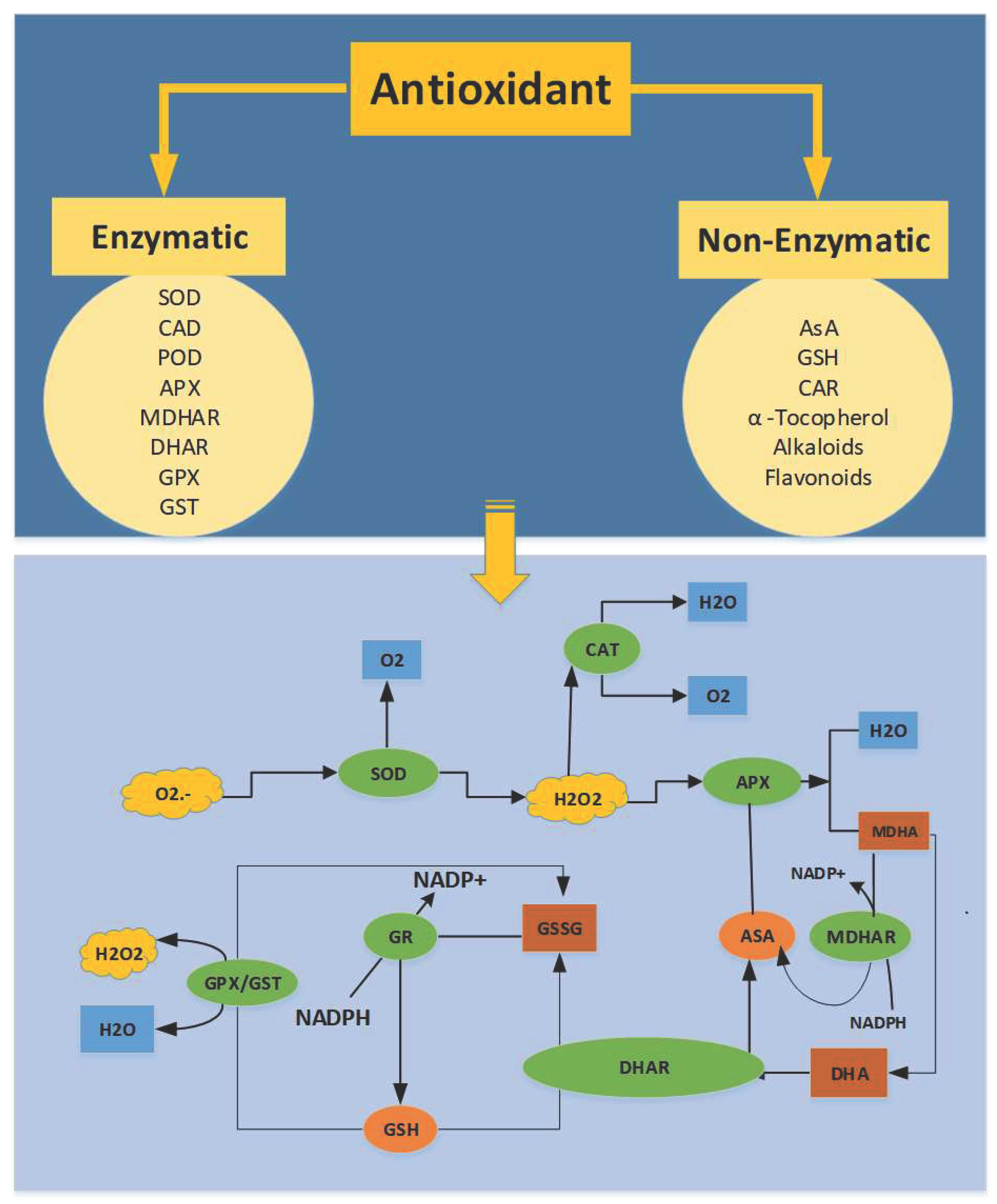 Preprints 79971 g002