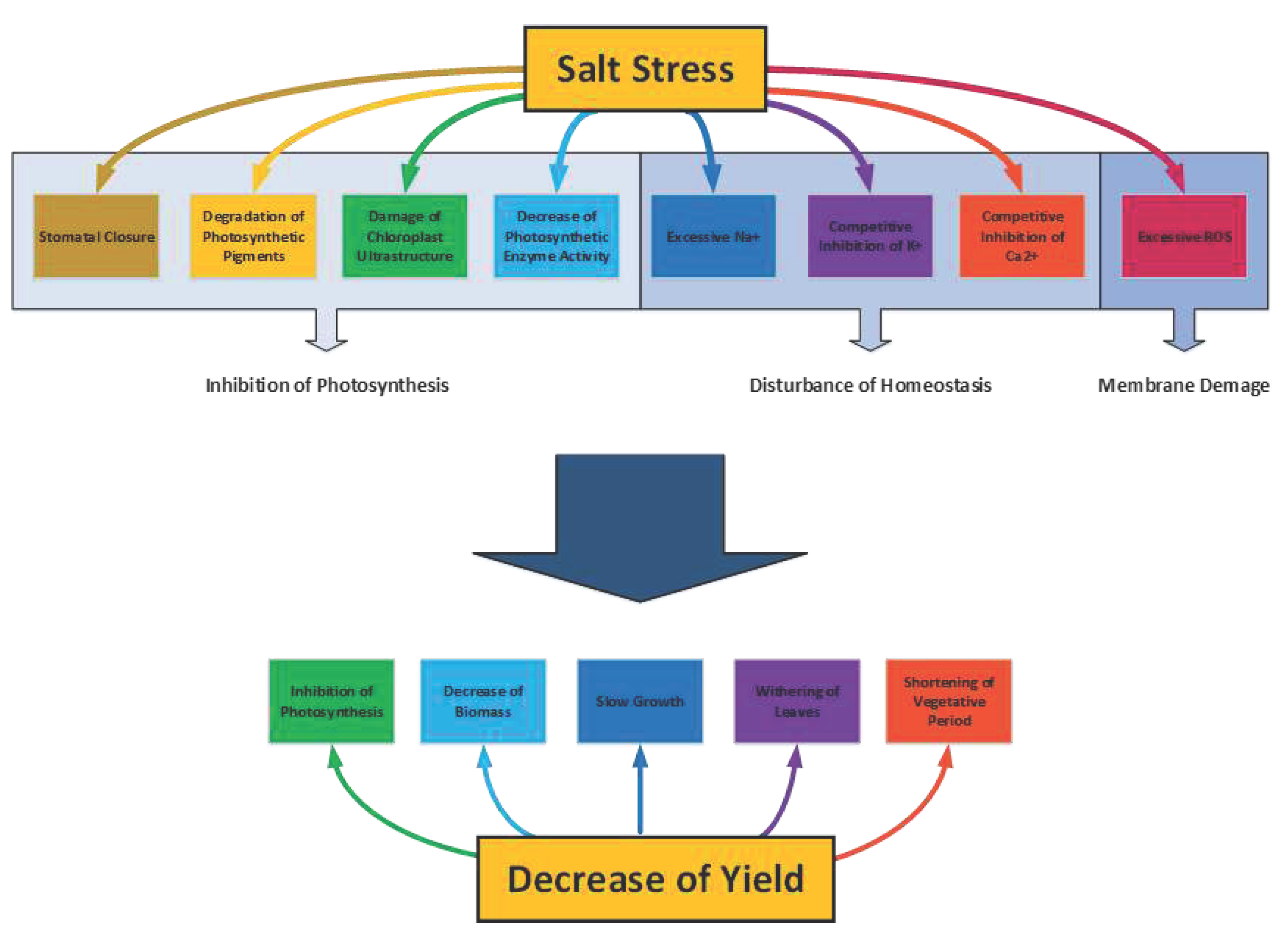 Preprints 79971 g003