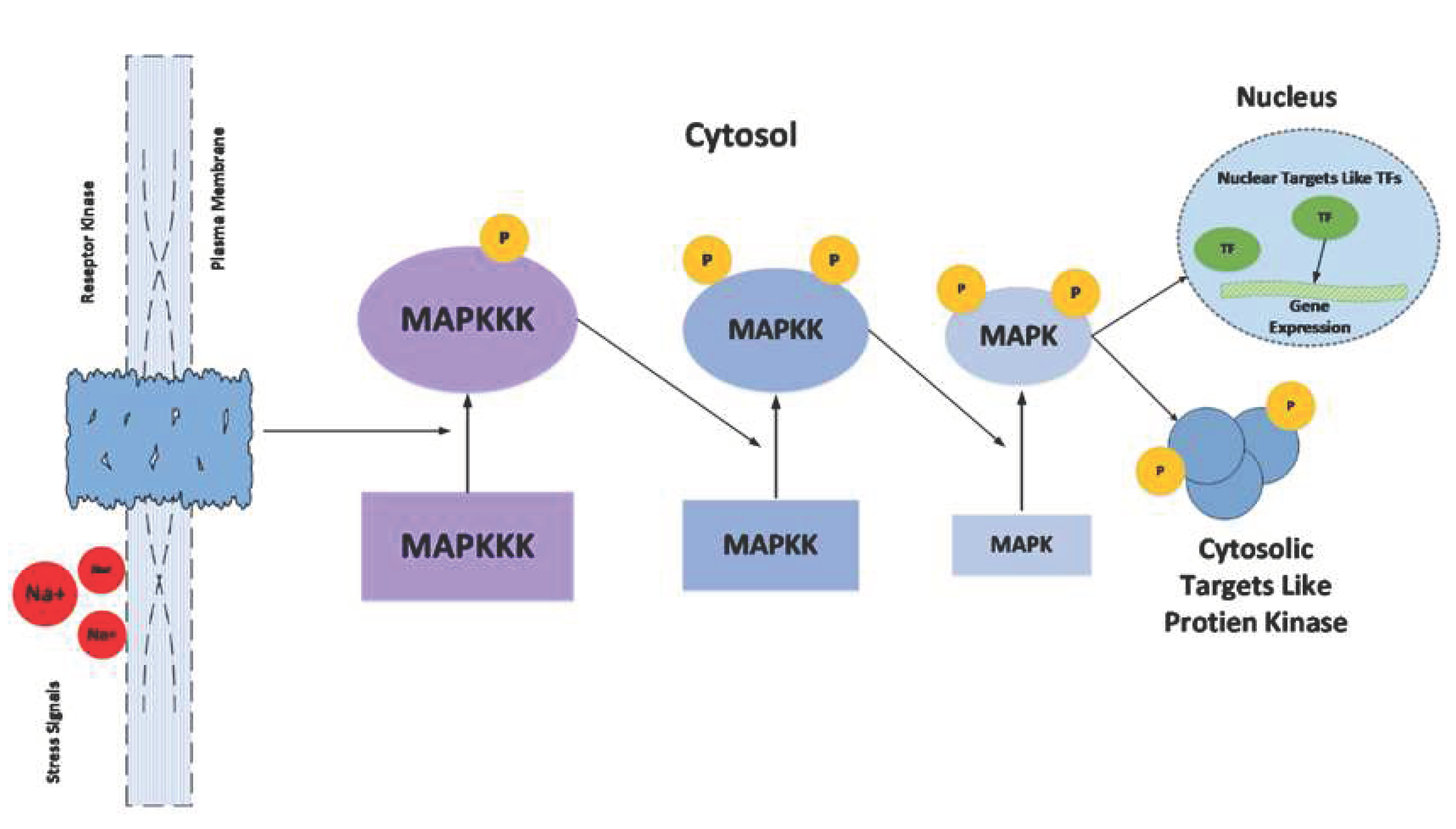 Preprints 79971 g004