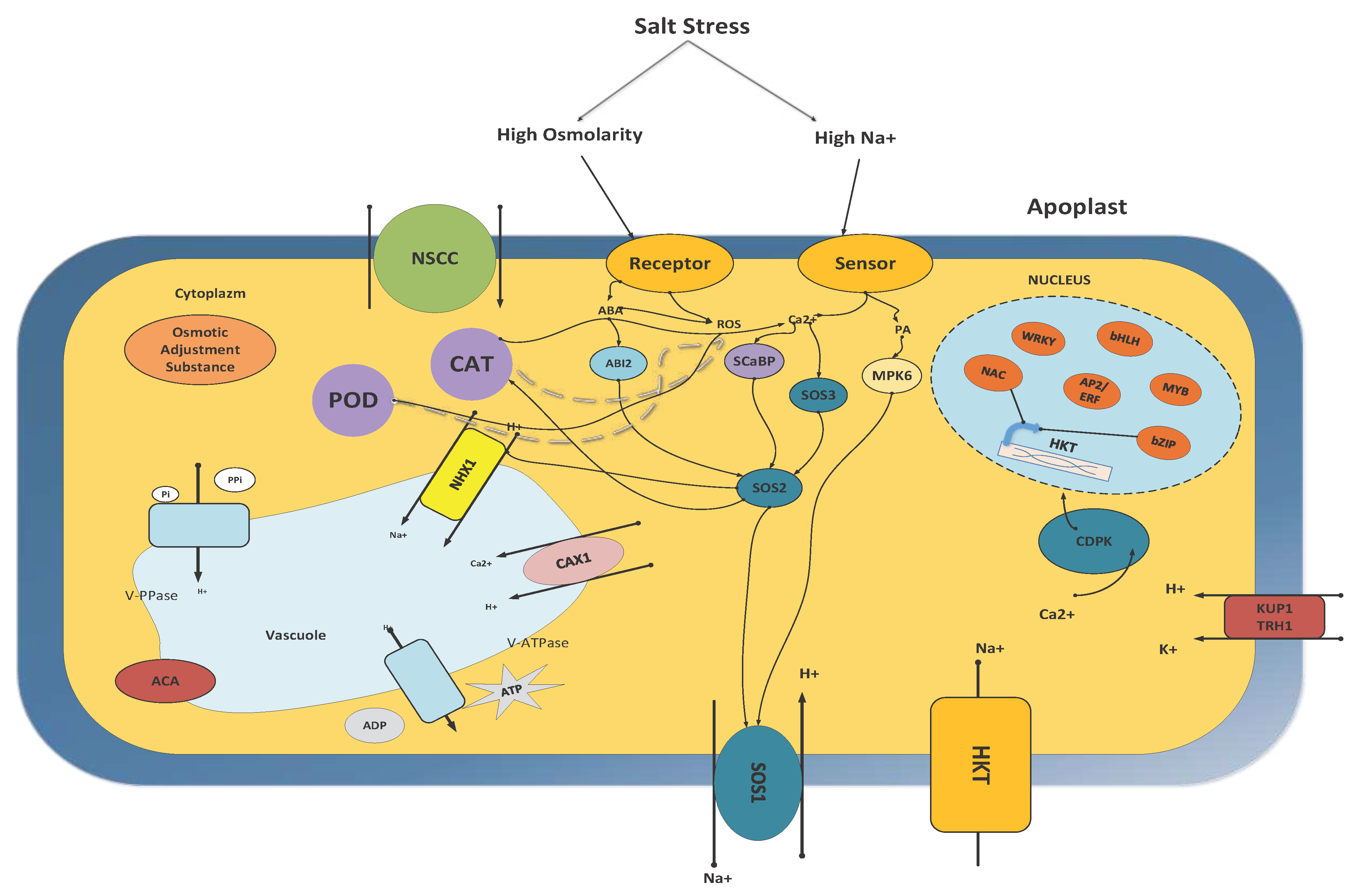 Preprints 79971 g005