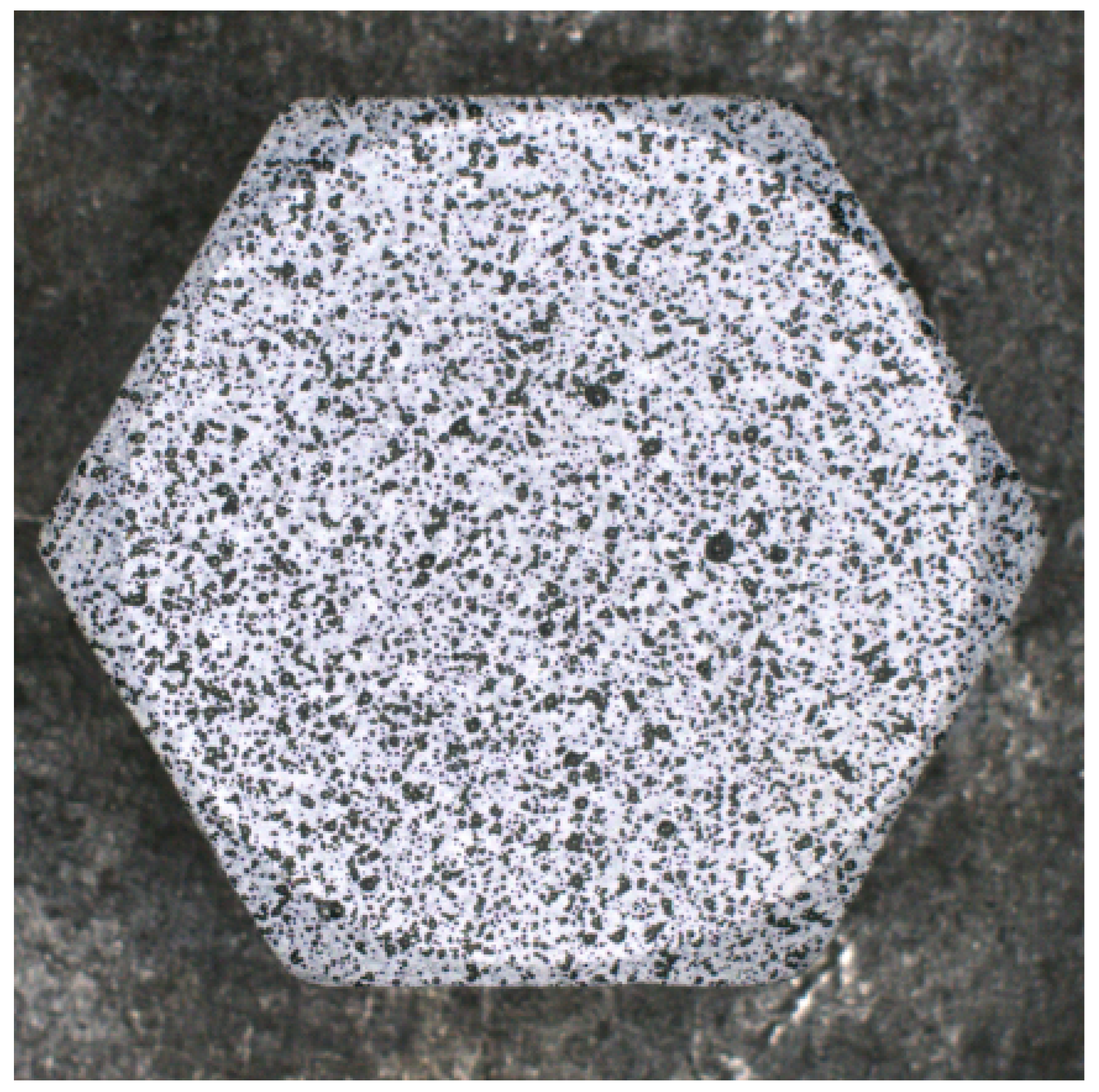 Preprints 189964 g006