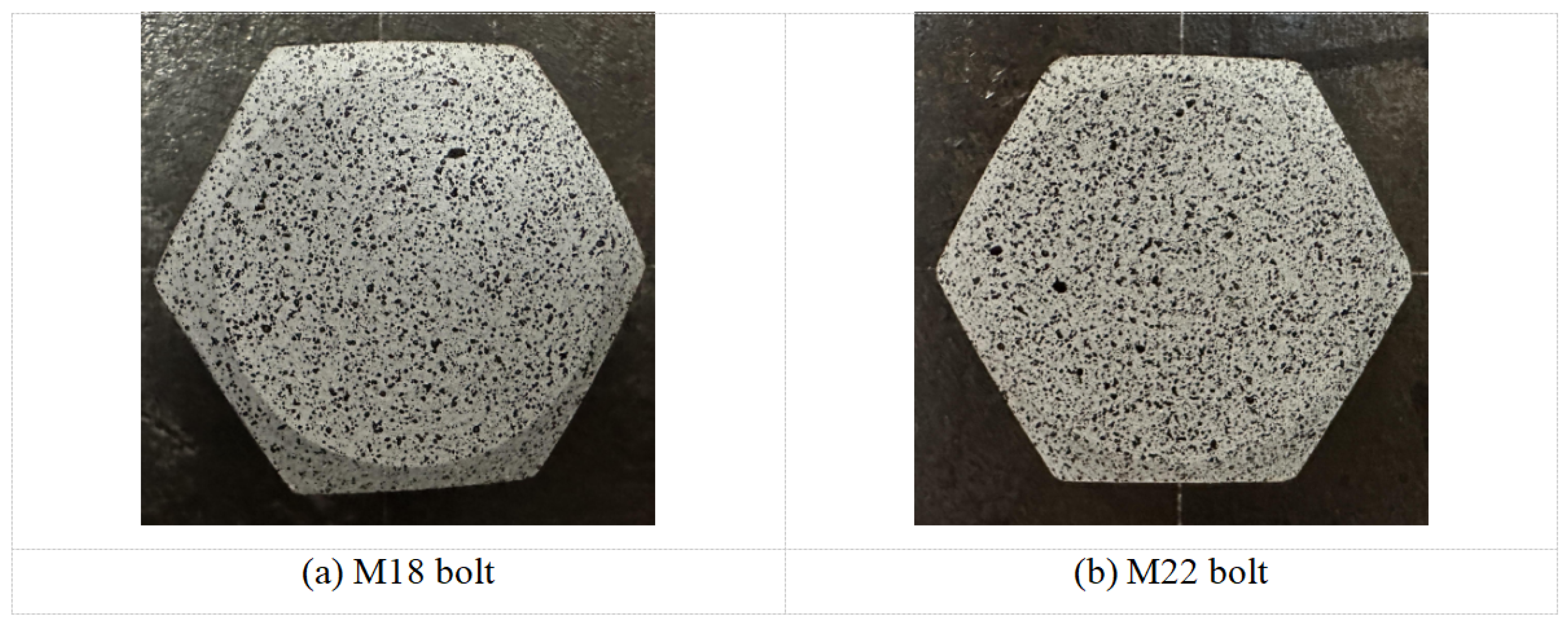 Preprints 189964 g016