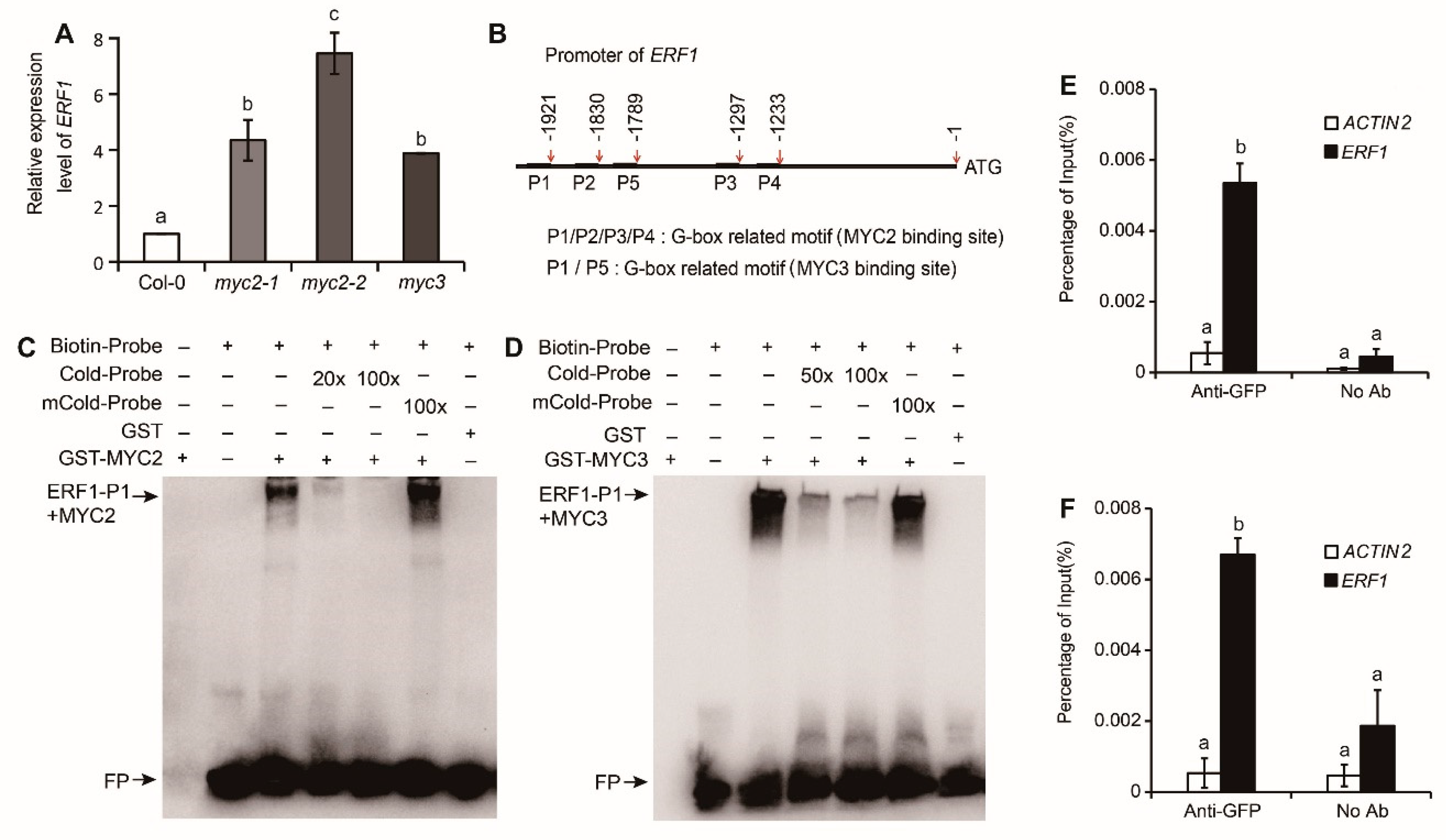 Preprints 109371 g003