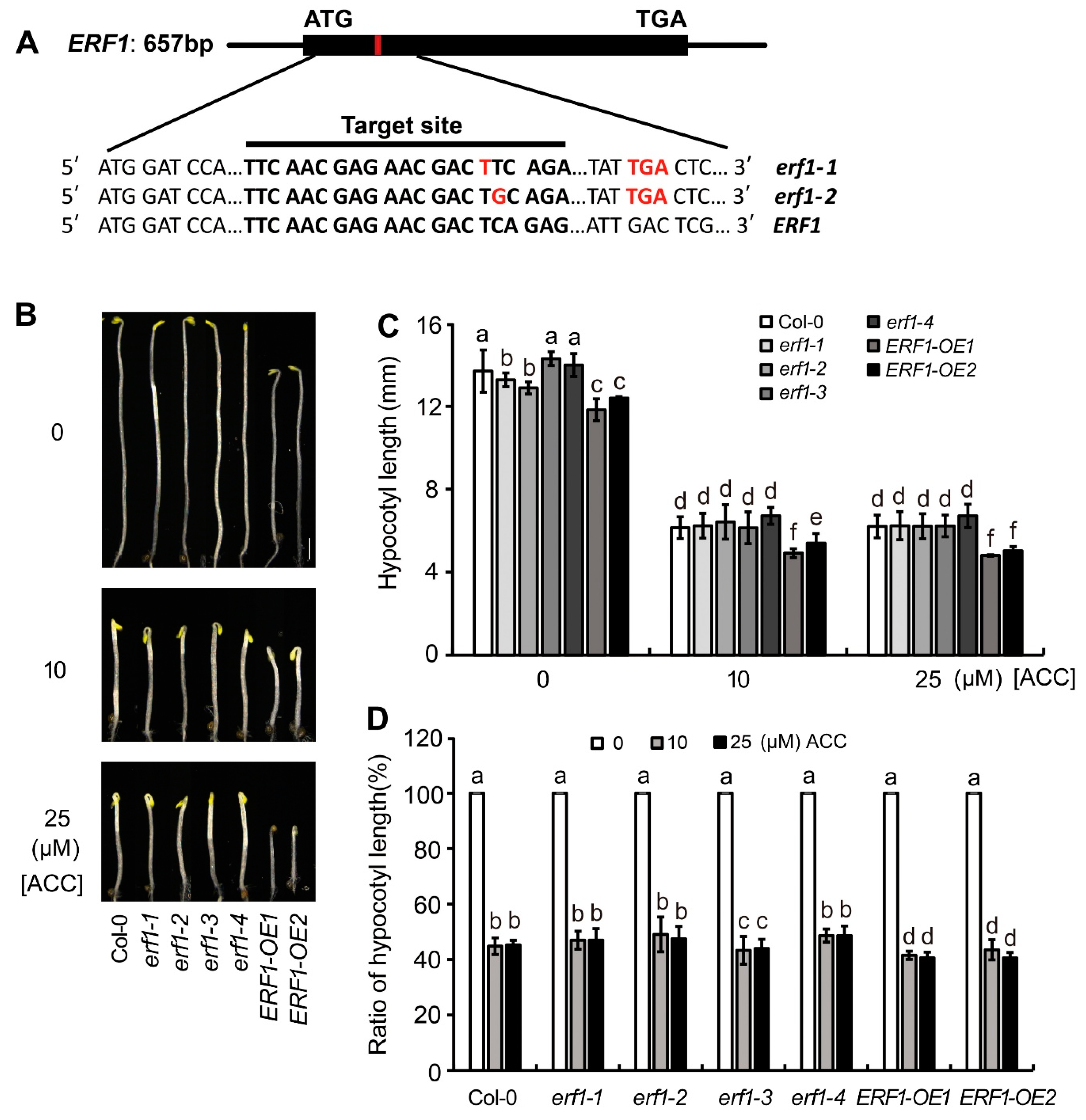 Preprints 109371 g005