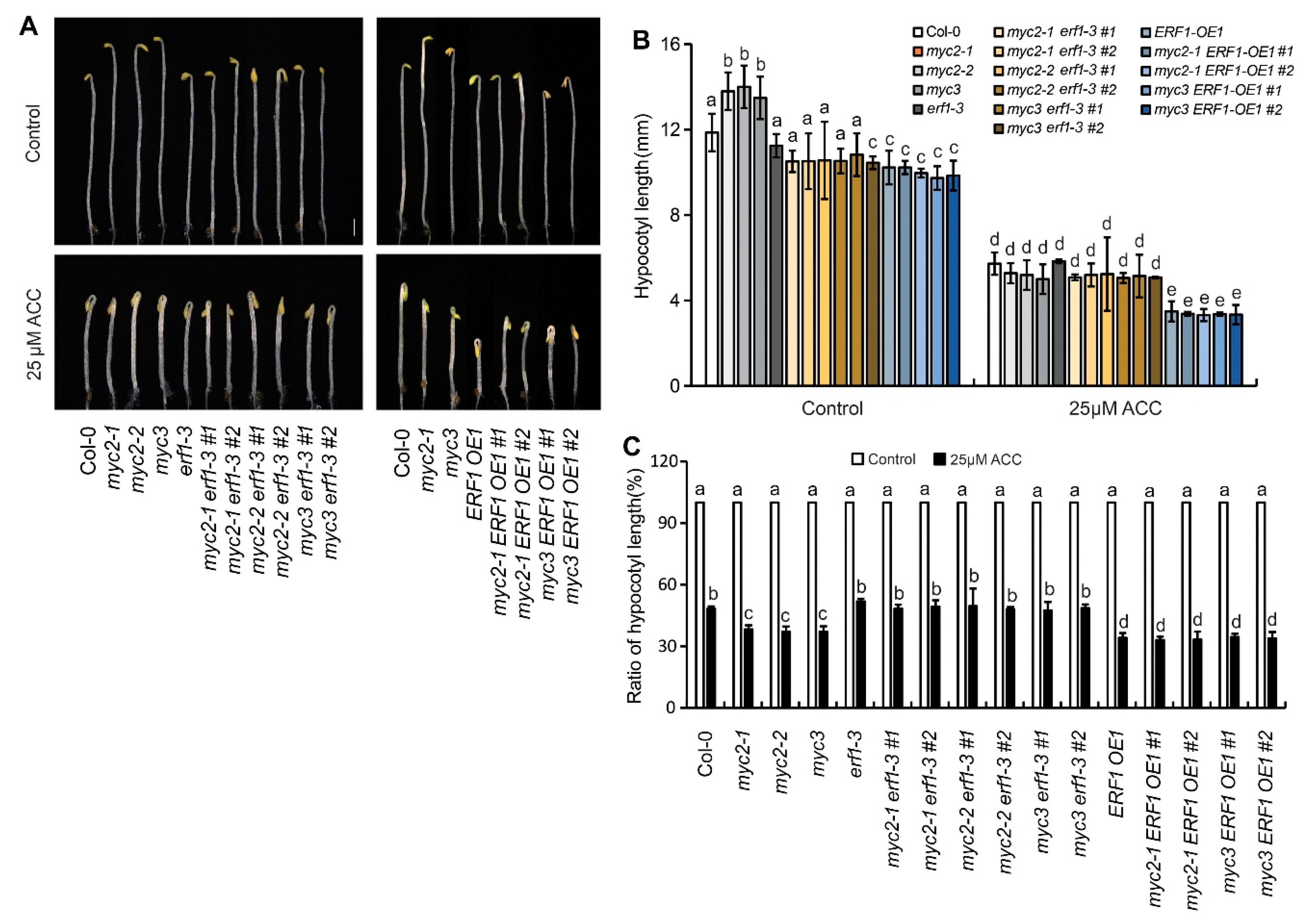 Preprints 109371 g006