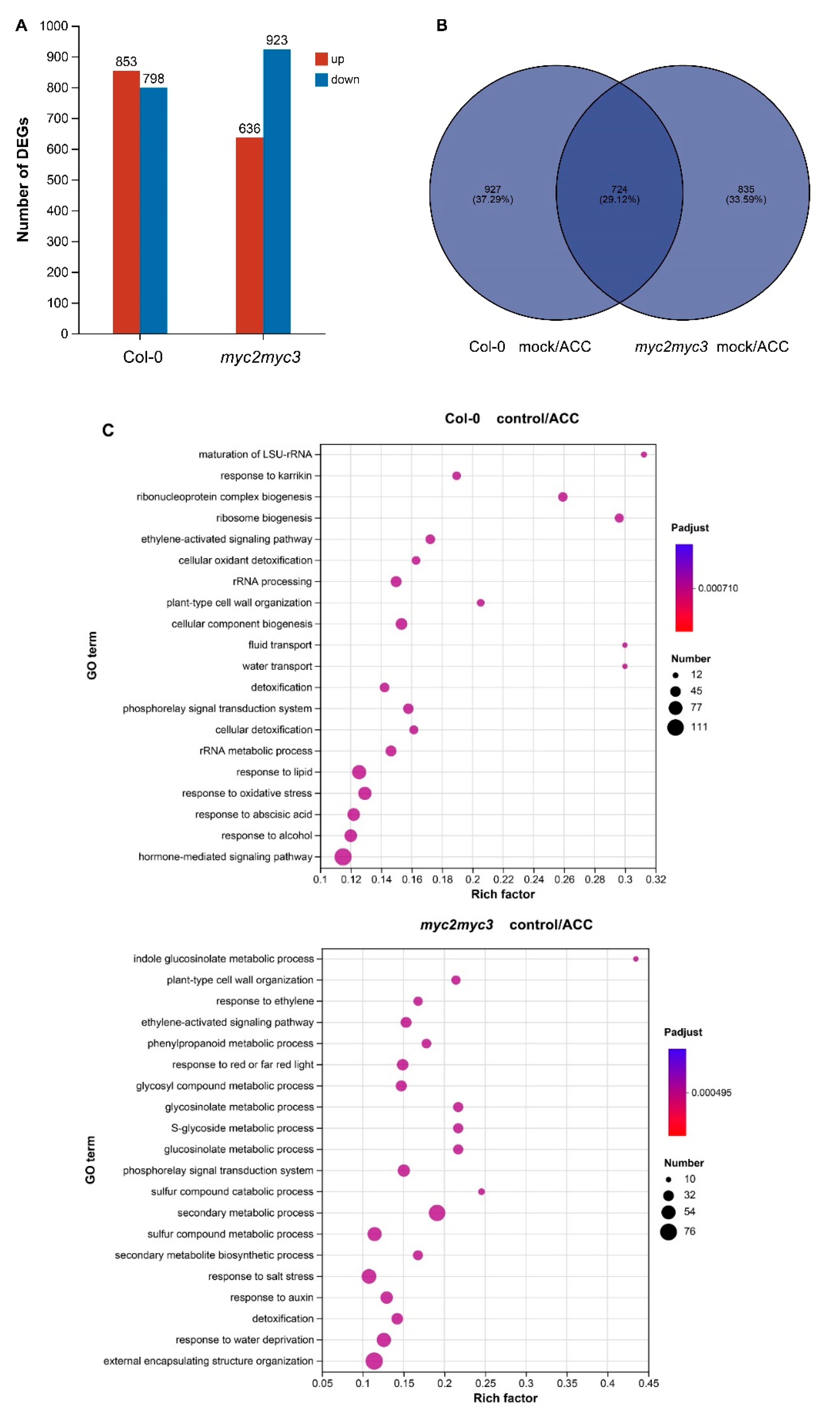 Preprints 109371 g007