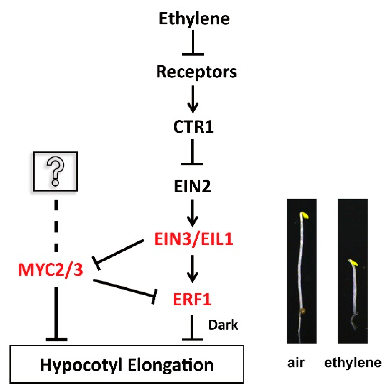 Preprints 109371 g008