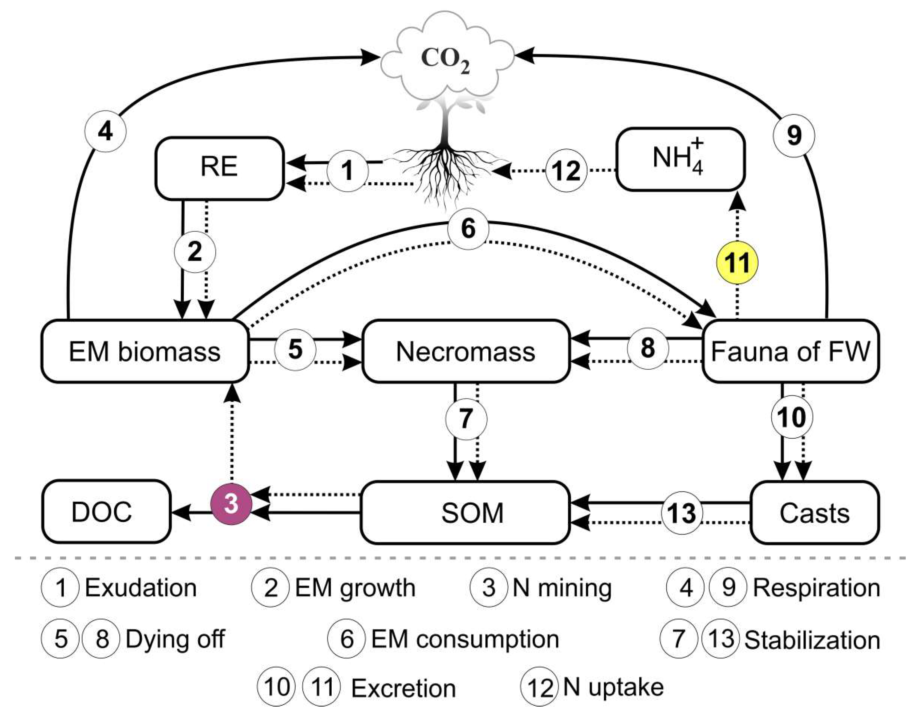 Preprints 142837 g001