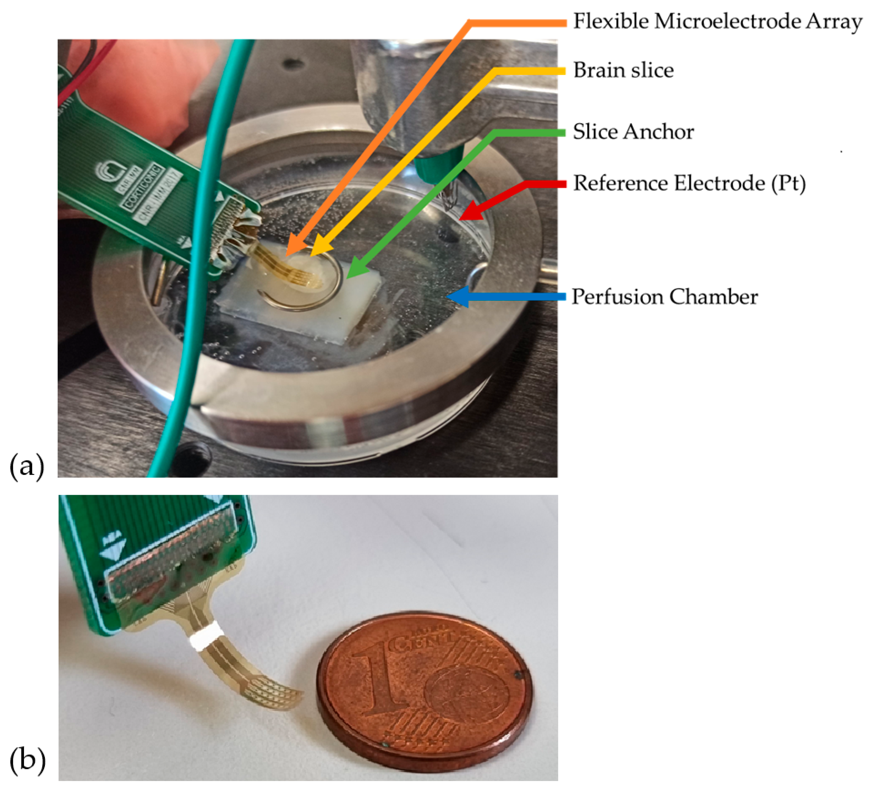 Preprints 162951 g001