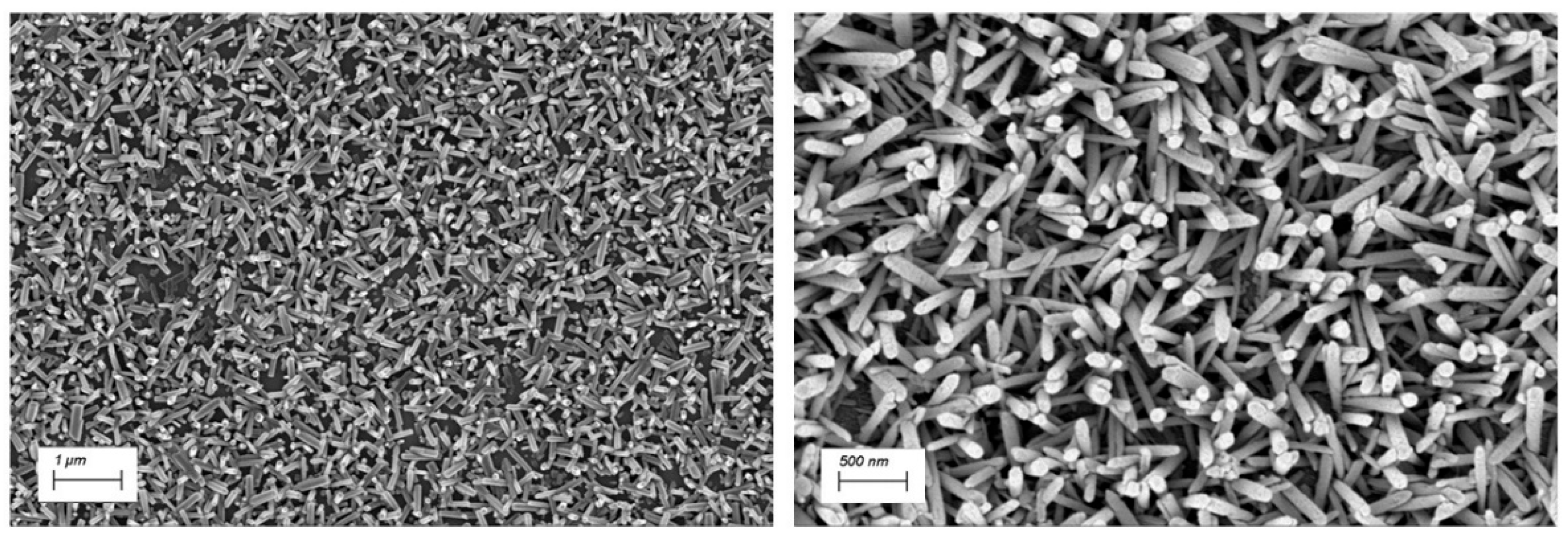 Preprints 162951 g002