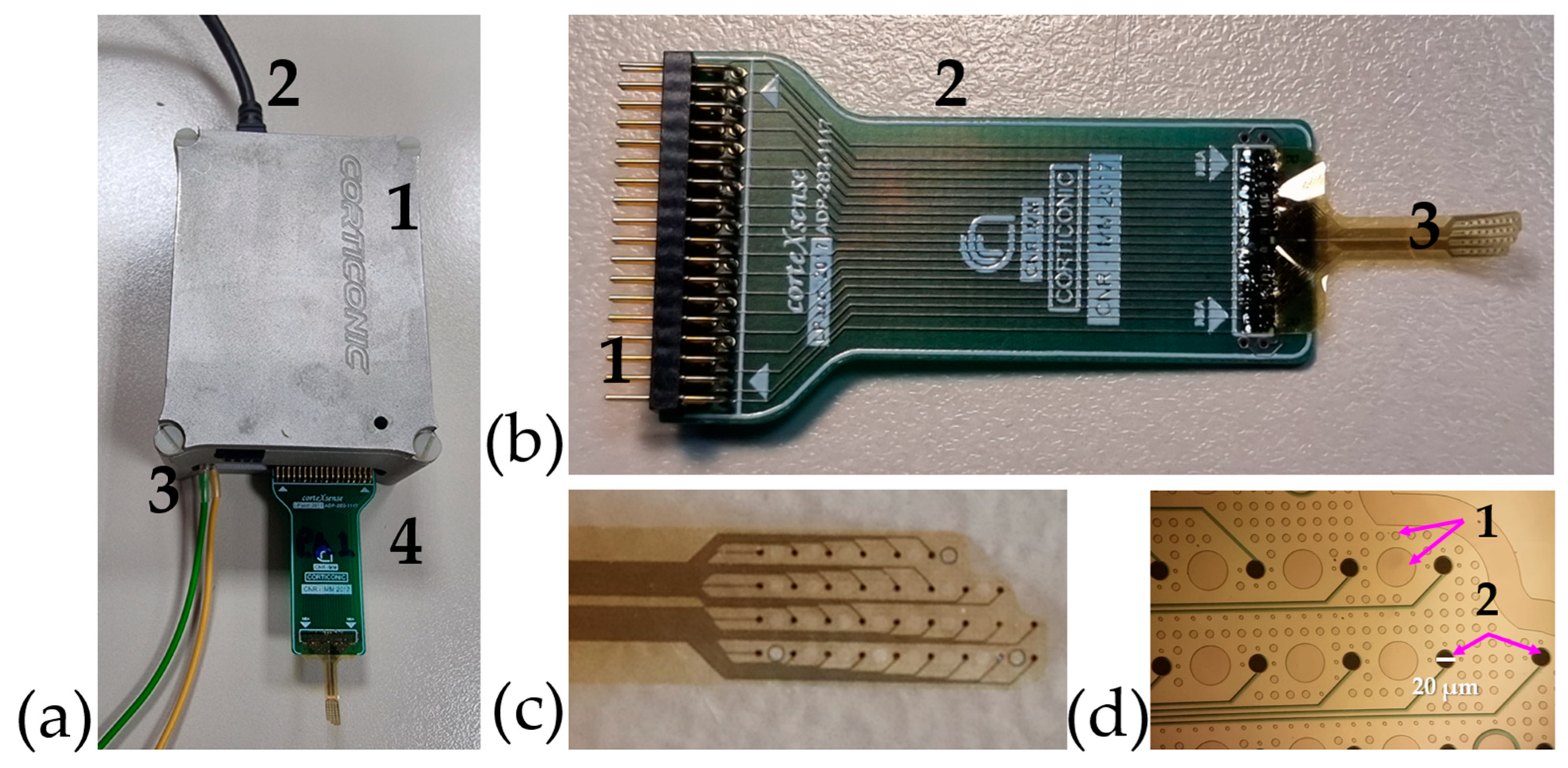 Preprints 162951 g006
