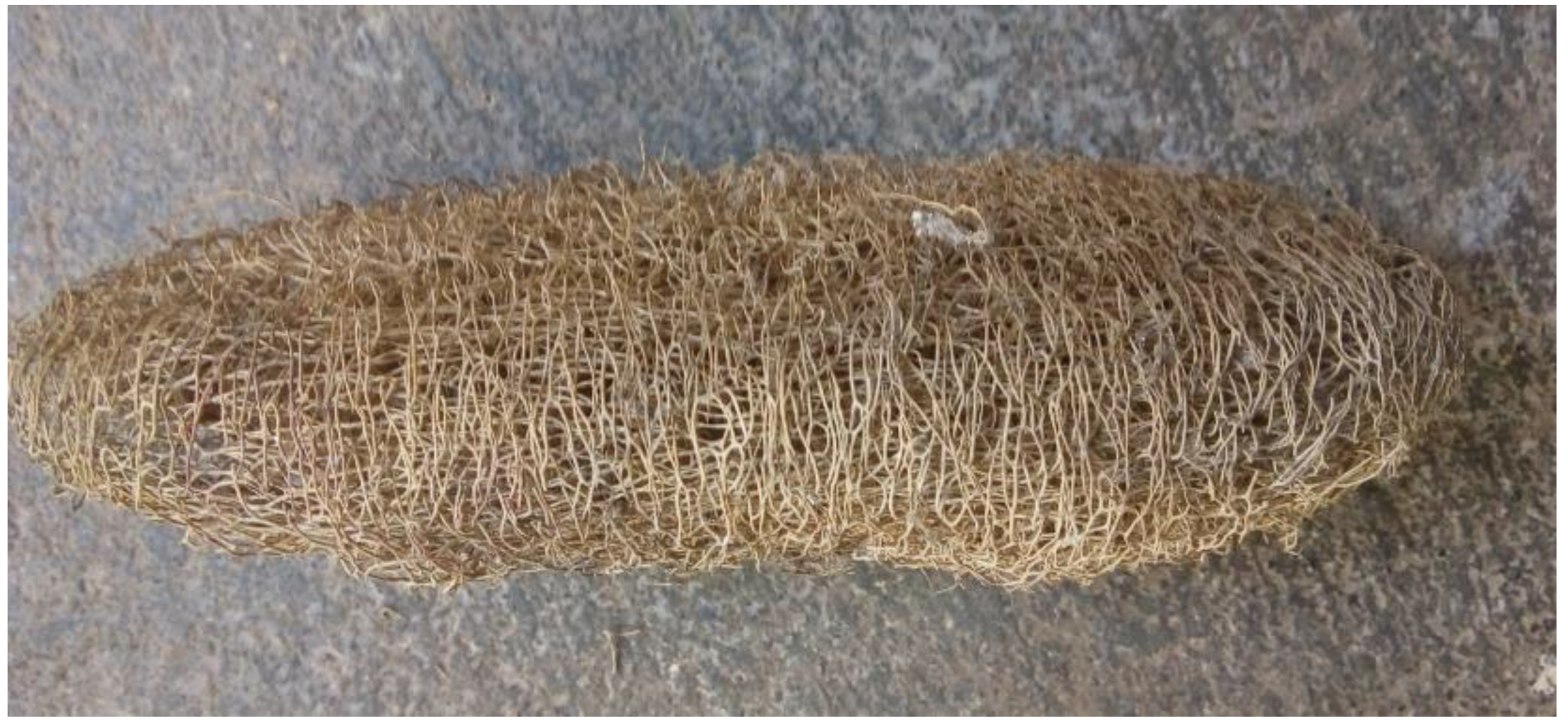 Preprints 175721 g001