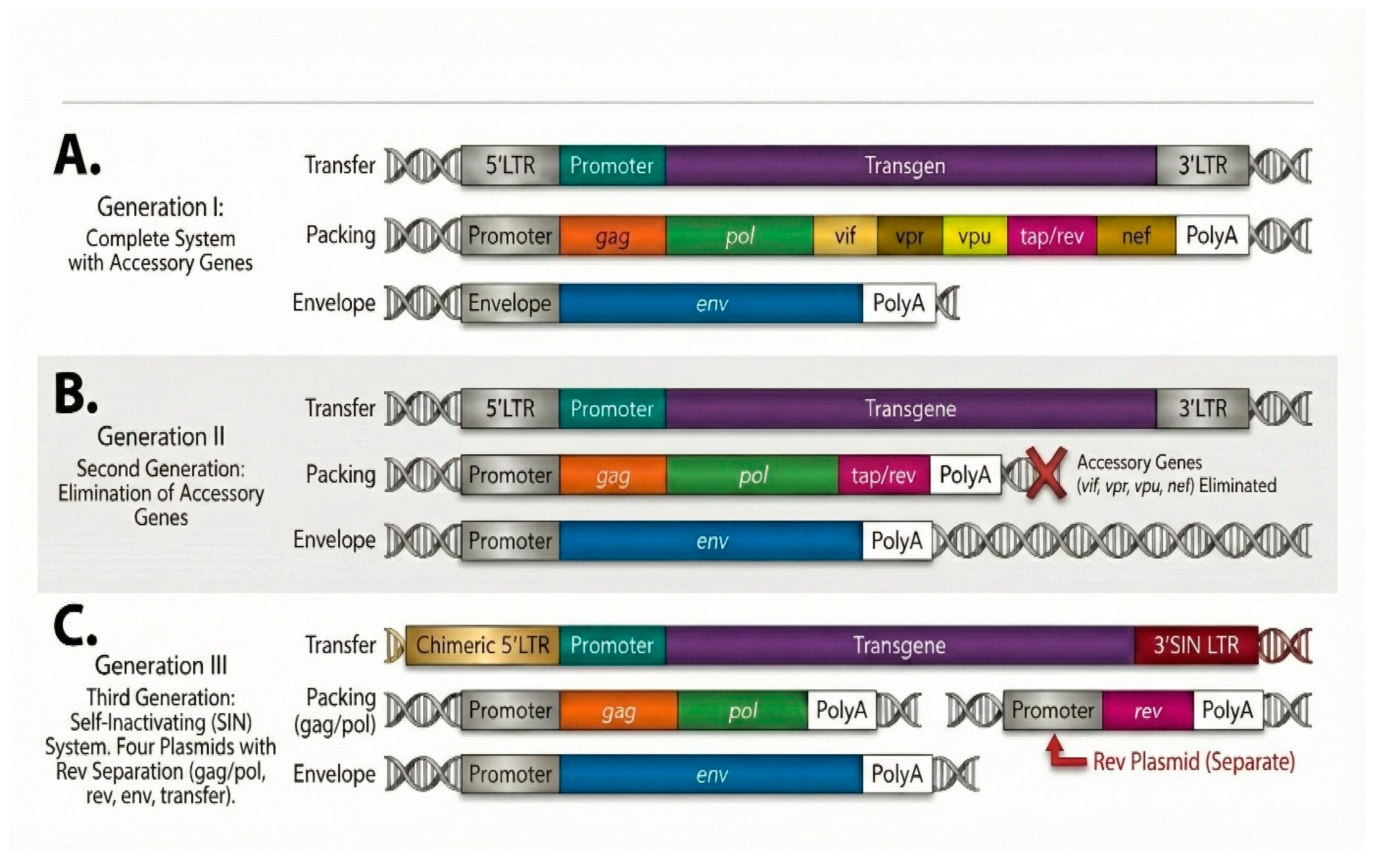 Preprints 217934 g002 Preprints 217934 g002