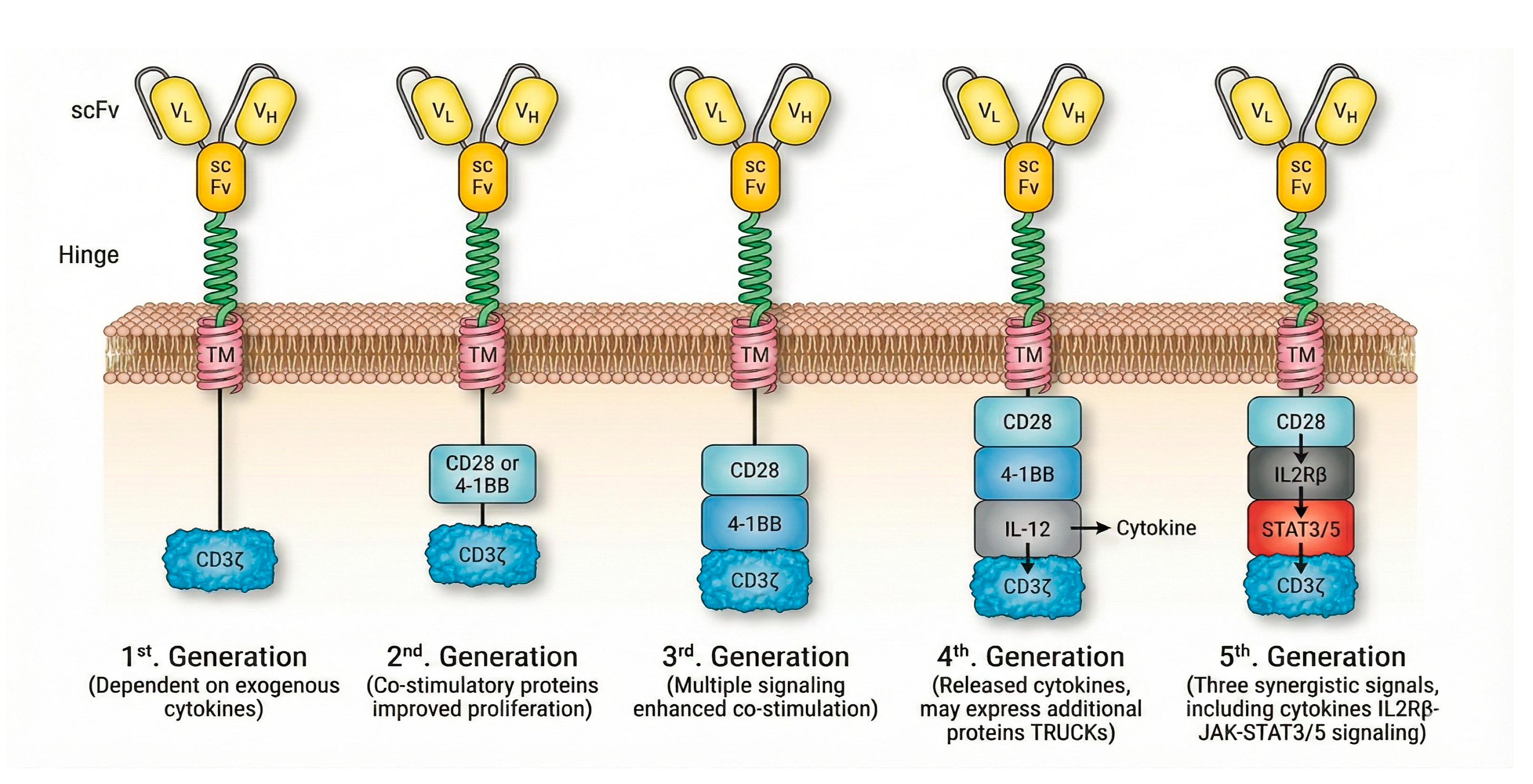 Preprints 217934 g003 Preprints 217934 g003