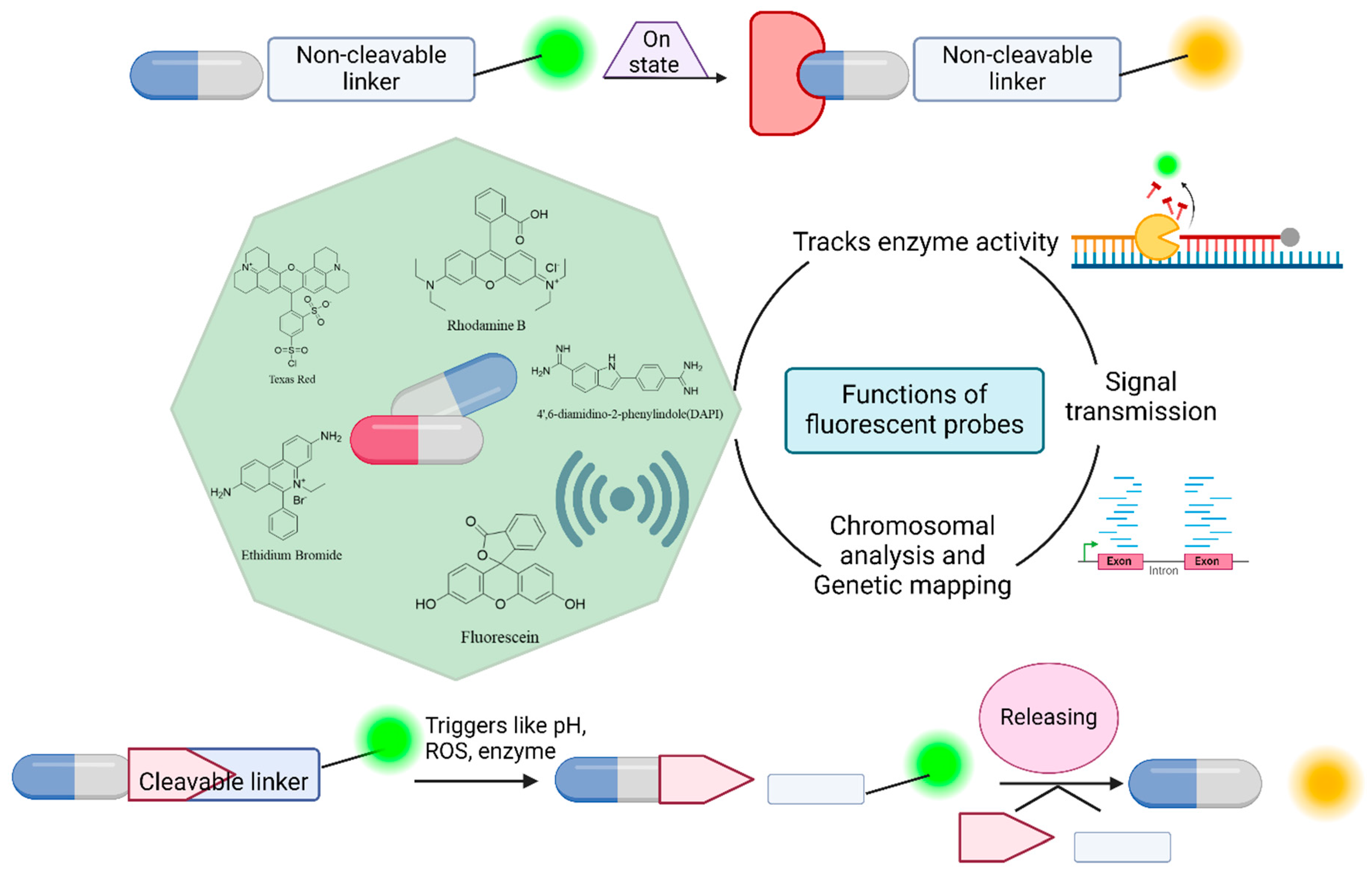 Preprints 140312 g004