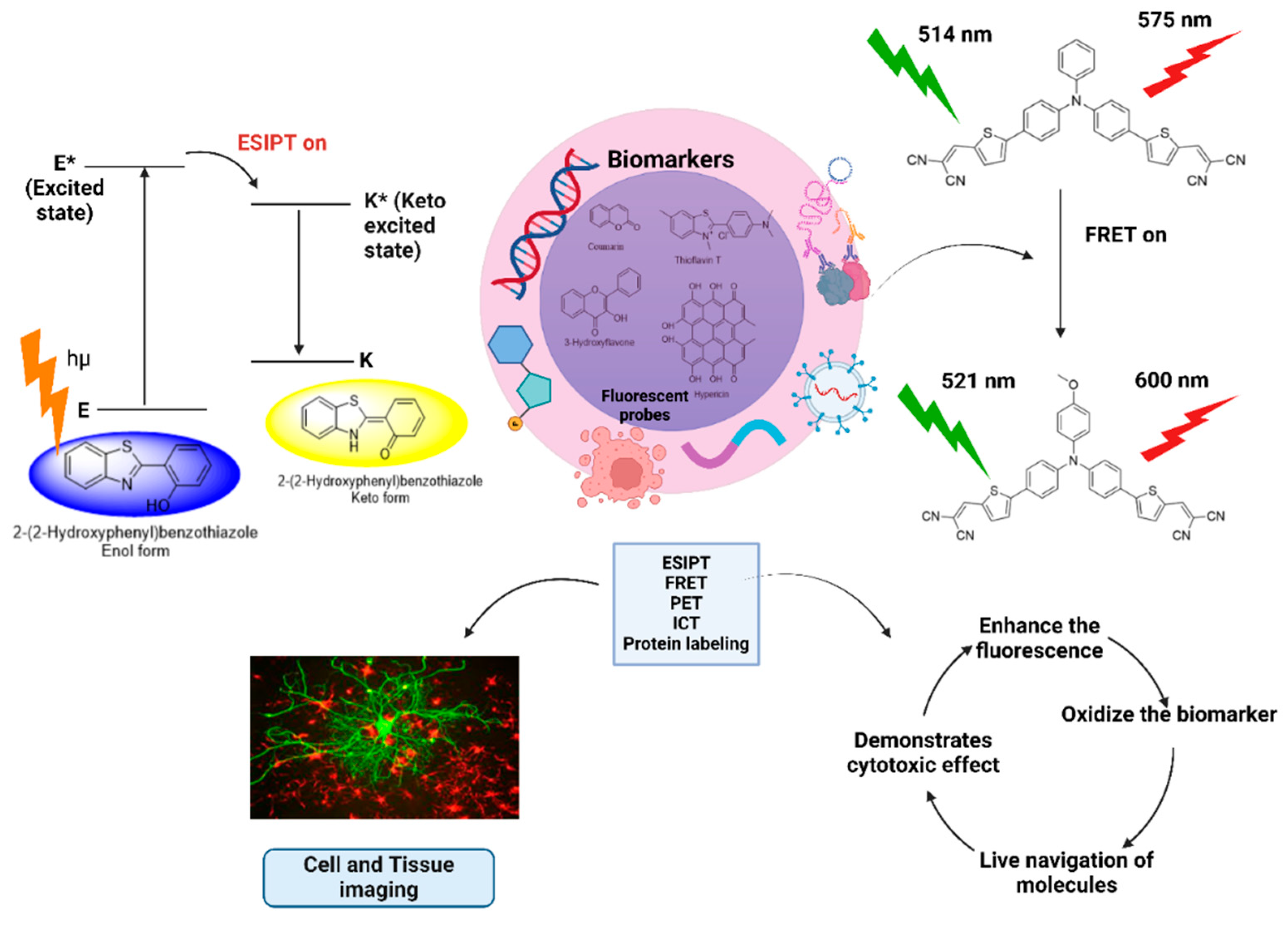 Preprints 140312 g005