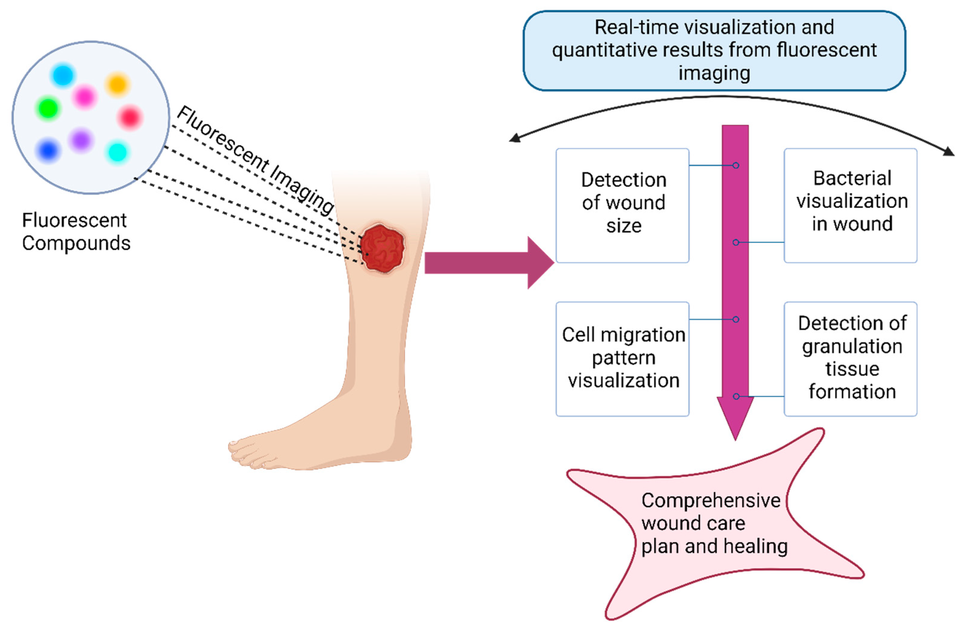 Preprints 140312 g006